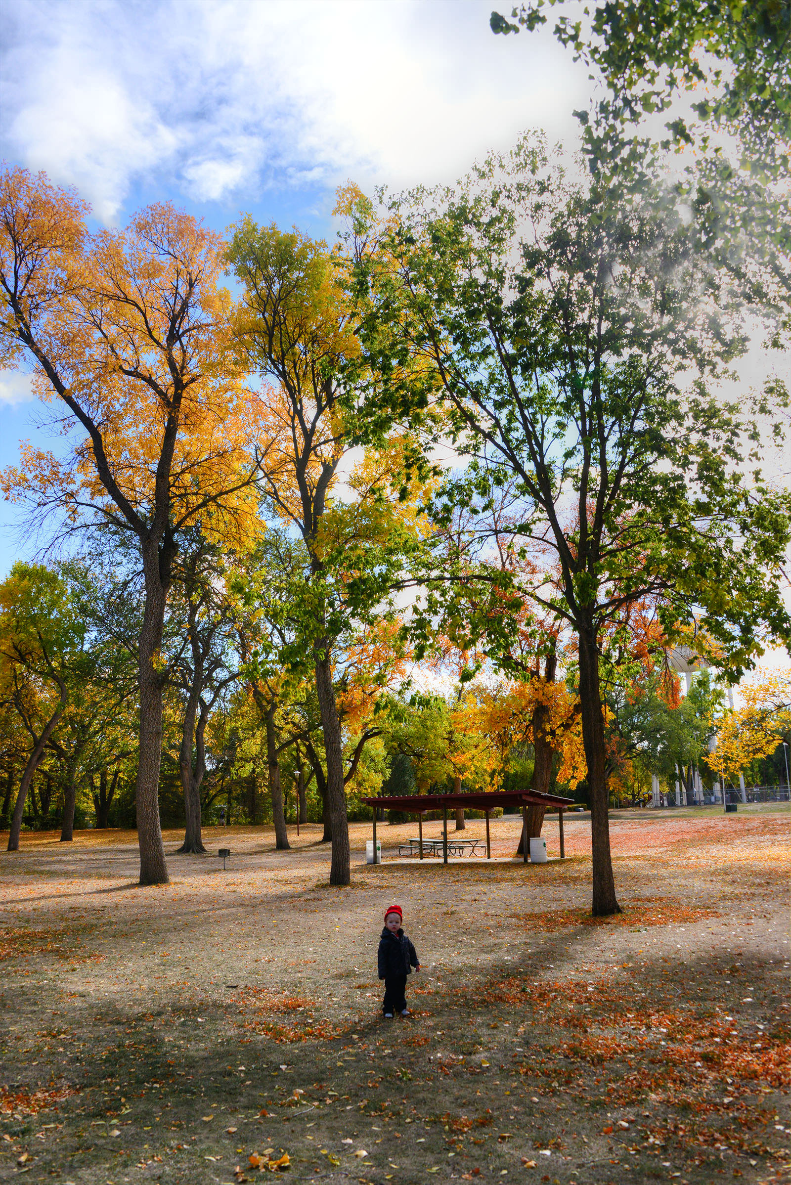 Prentis Park - USD