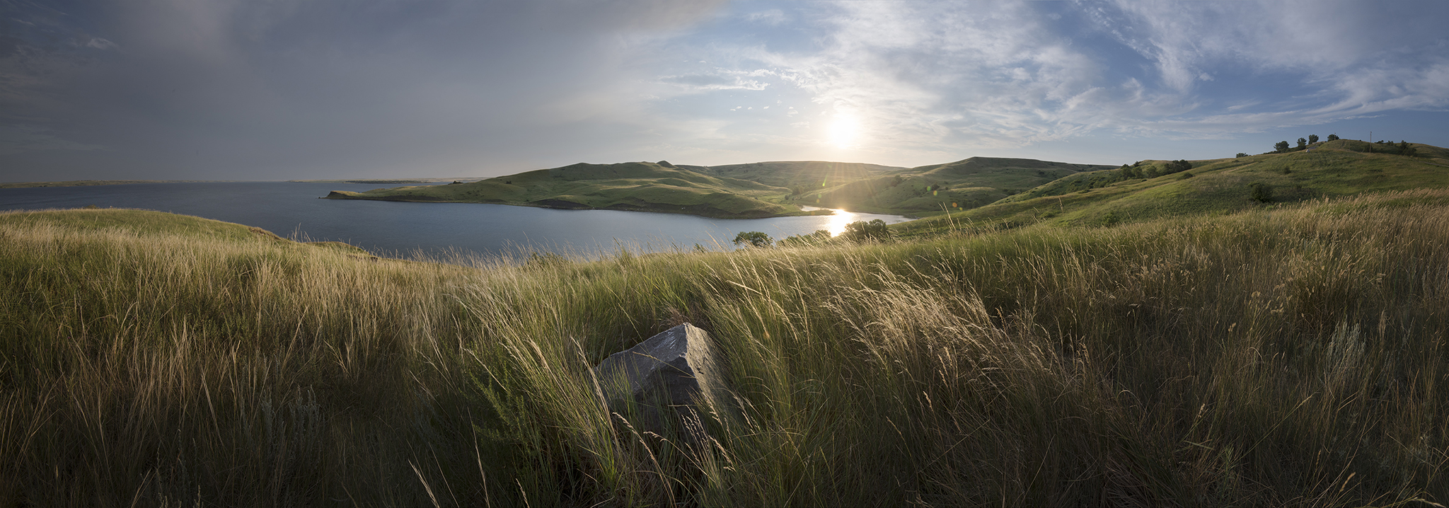 Rock in Grassy Field at Whitlock