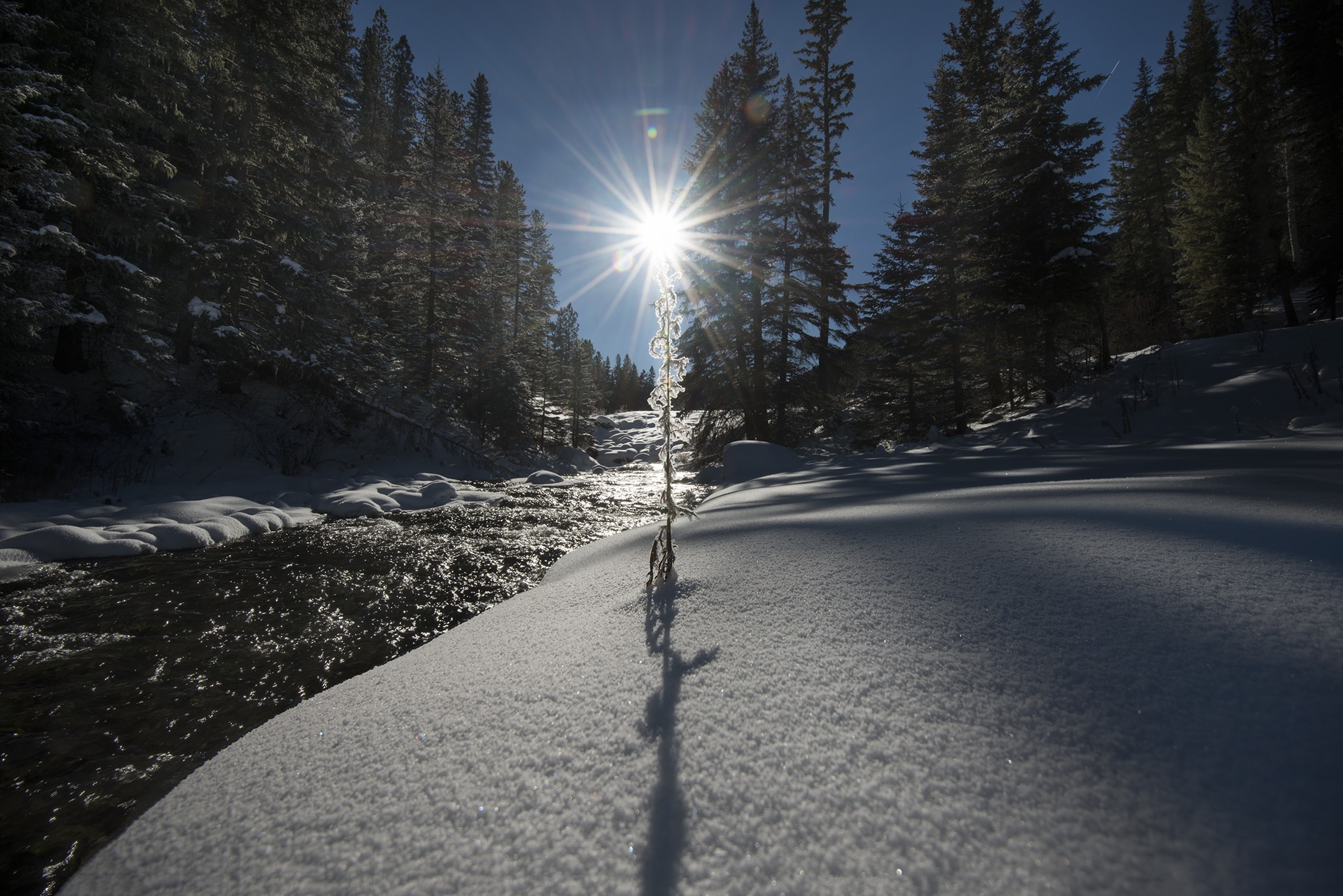 Sunrise in the Black Hills of South Dakota