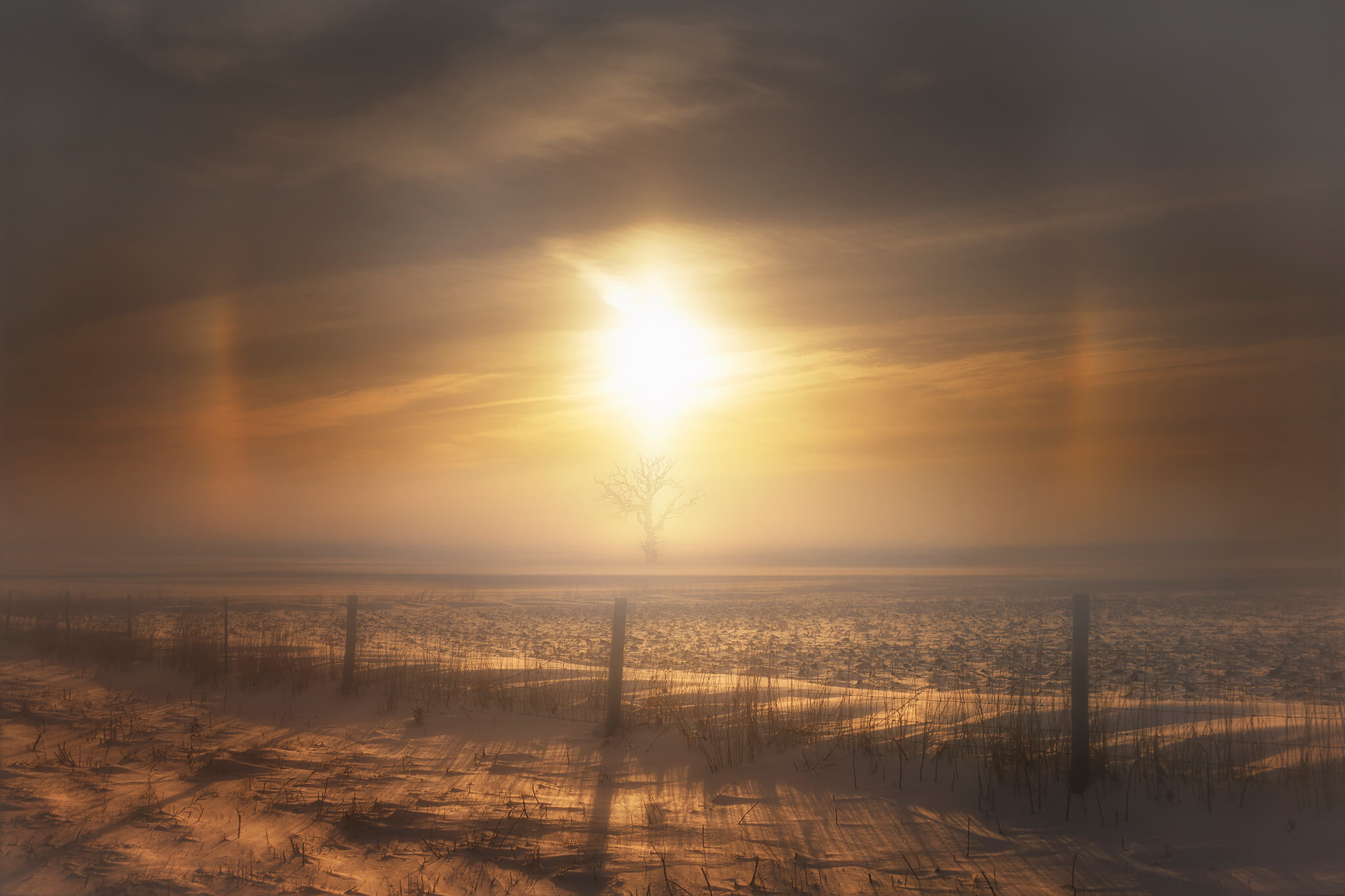 Sun Dog Artwork