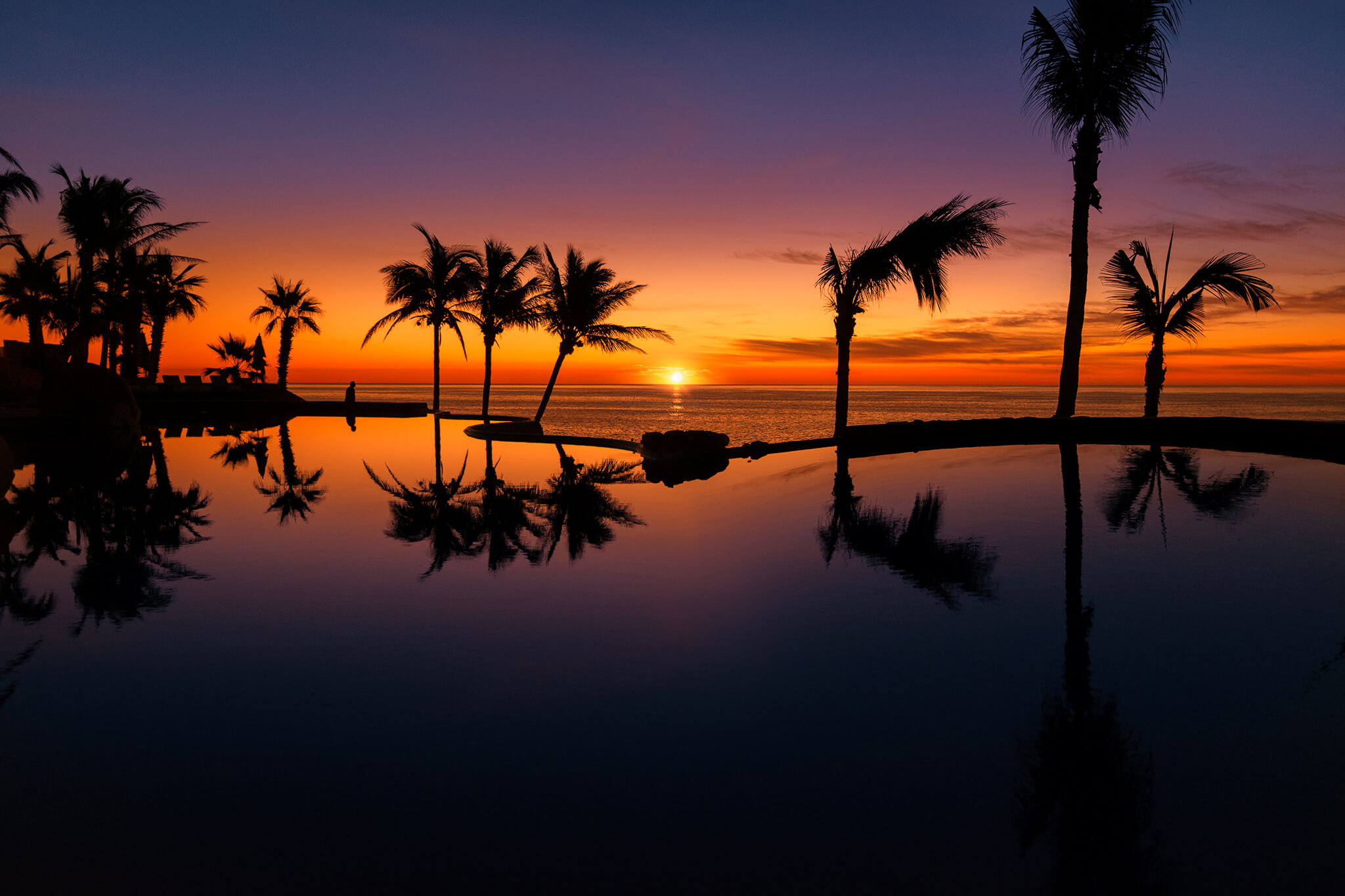 Tropical Sunrise & Palm Trees Photo
