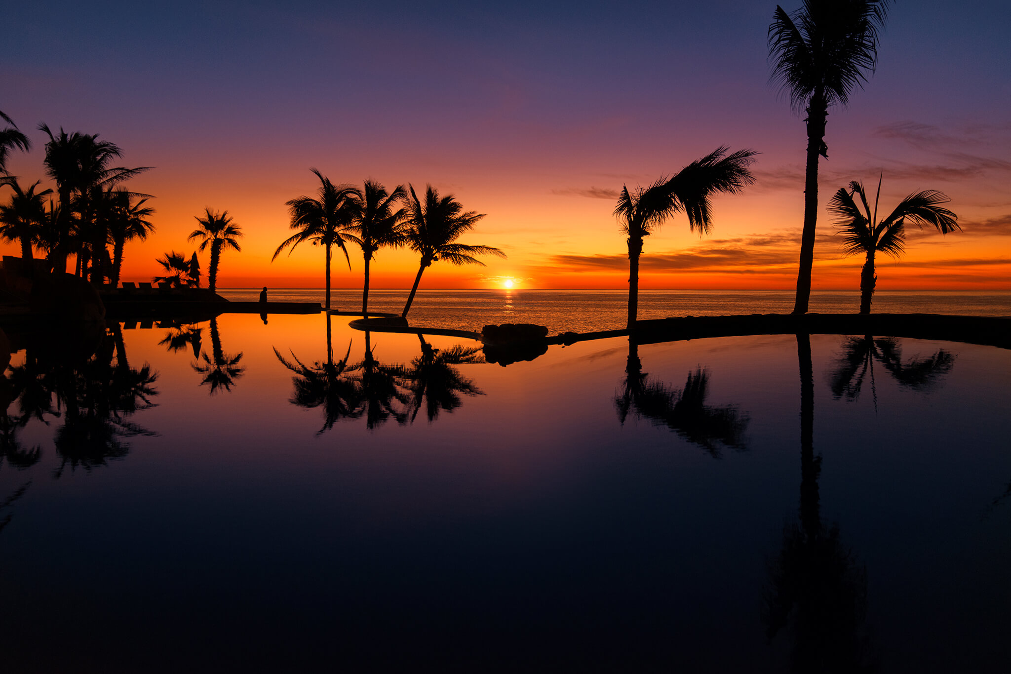 Purple and Orange Tropical Sunrise