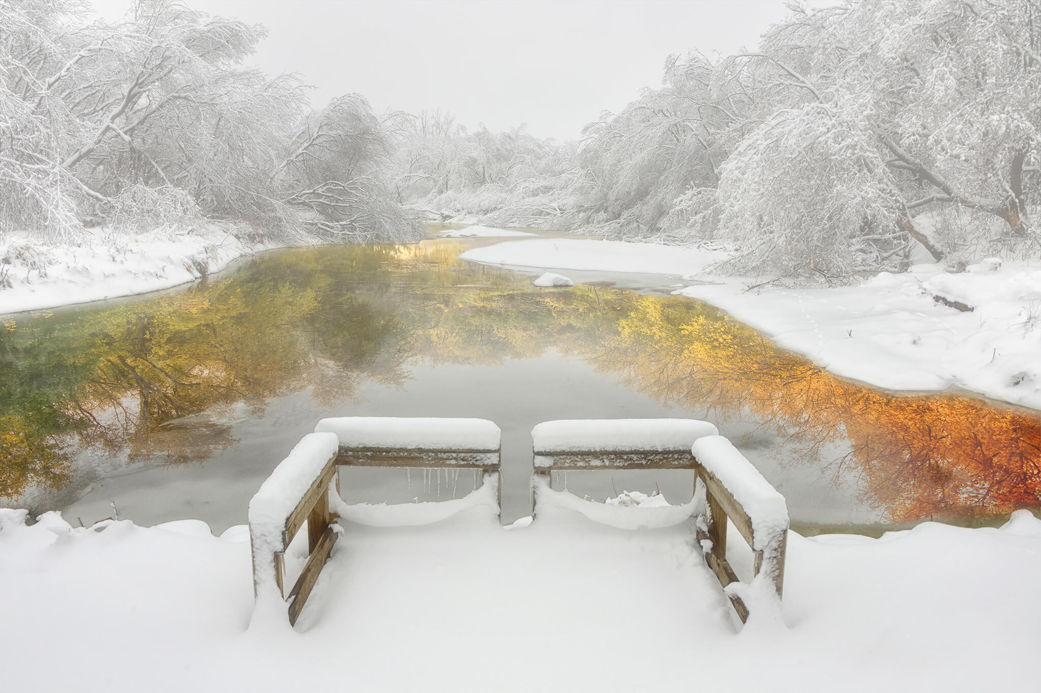 Seeing Autumn in the Snow