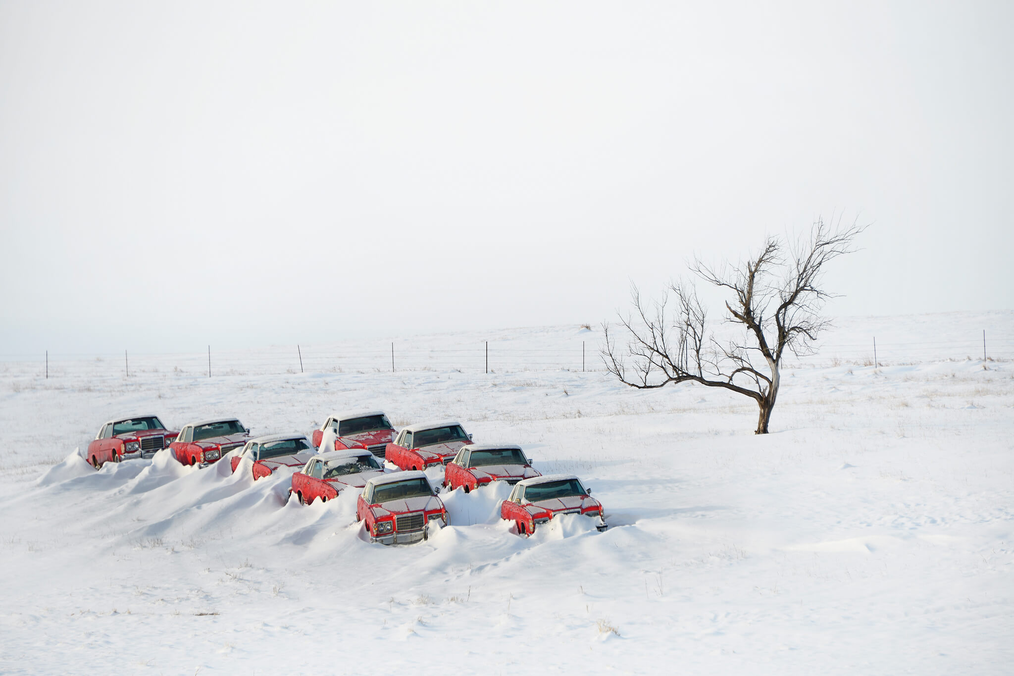 Cars in Snow