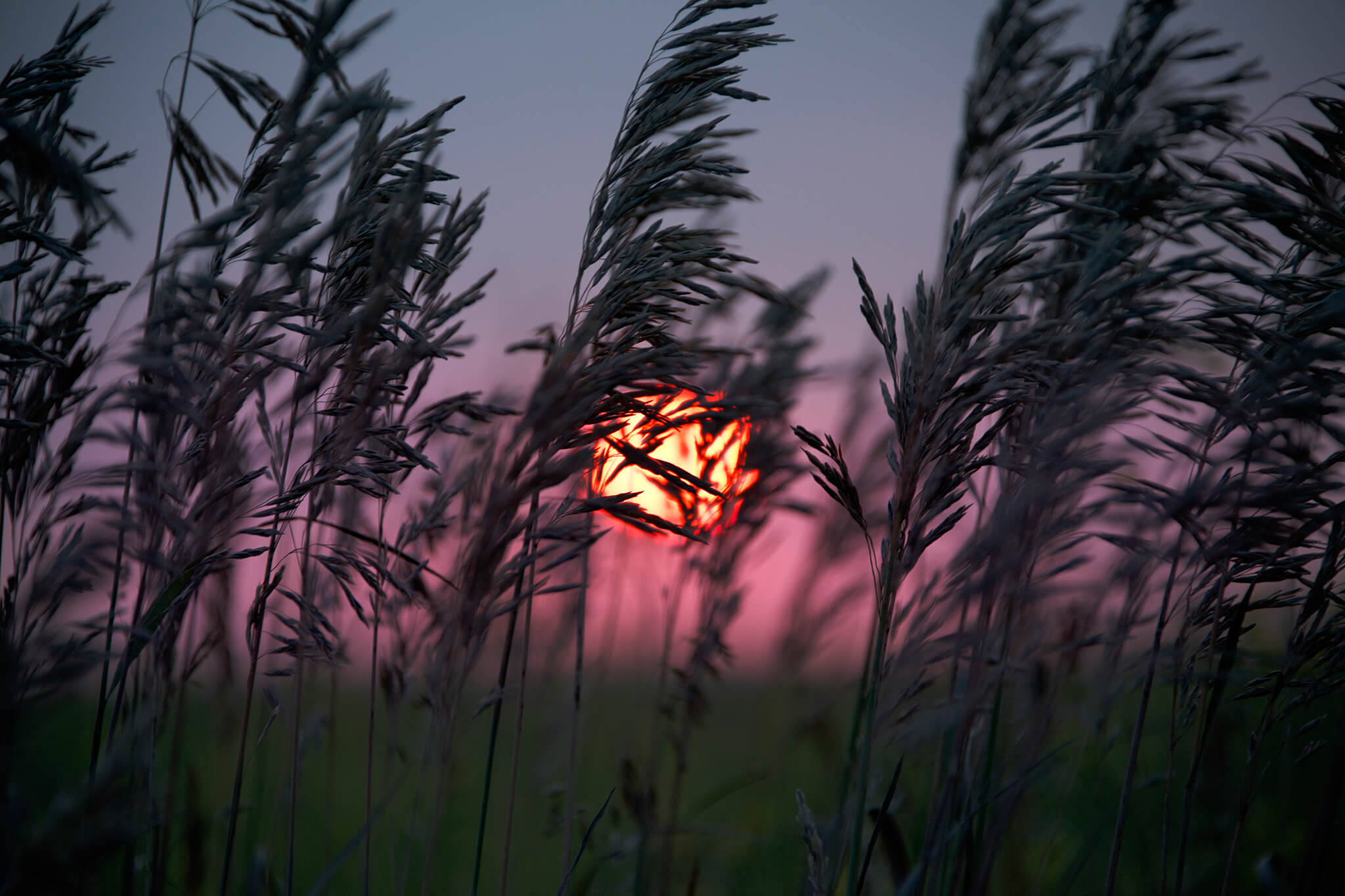 Sunset in Pierre, South Dakota