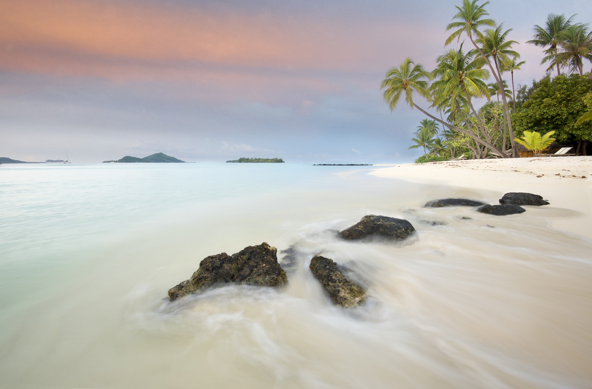 Colorful Tropical Picture with Palm Trees