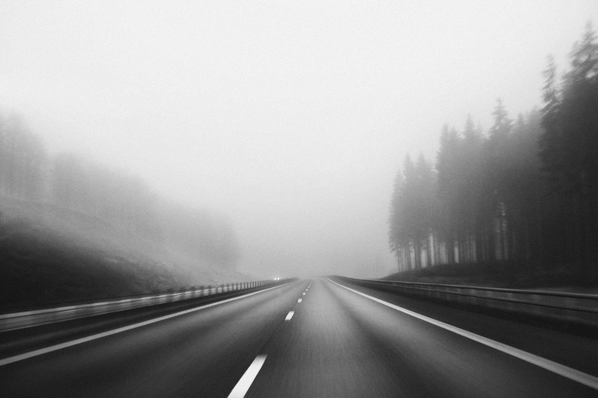 Foggy Road Trip