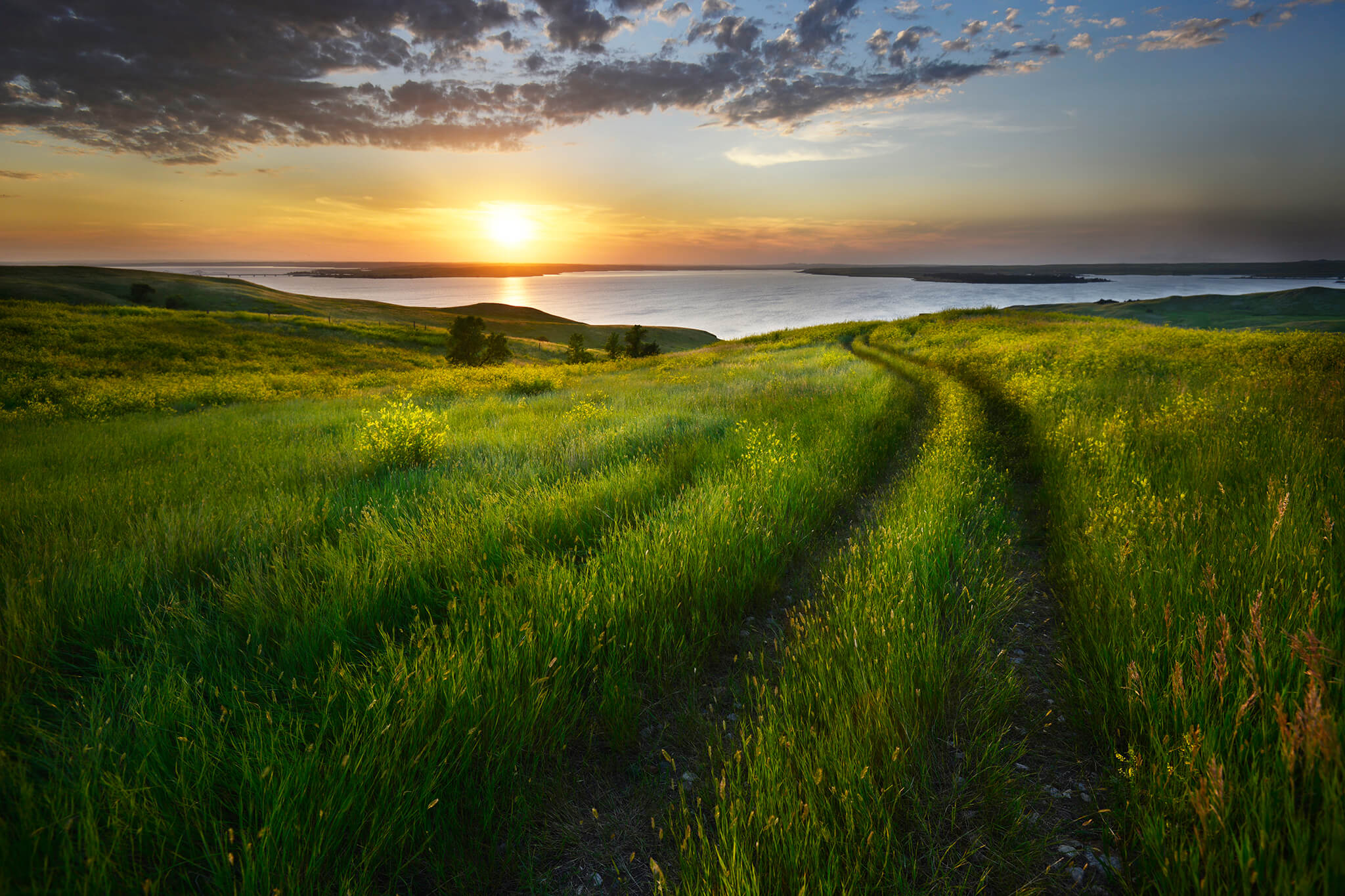 Path in Field Leading to Sunset