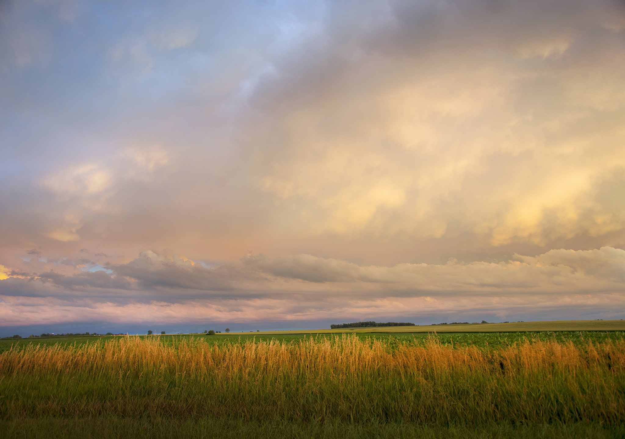 Soft colors during sunset