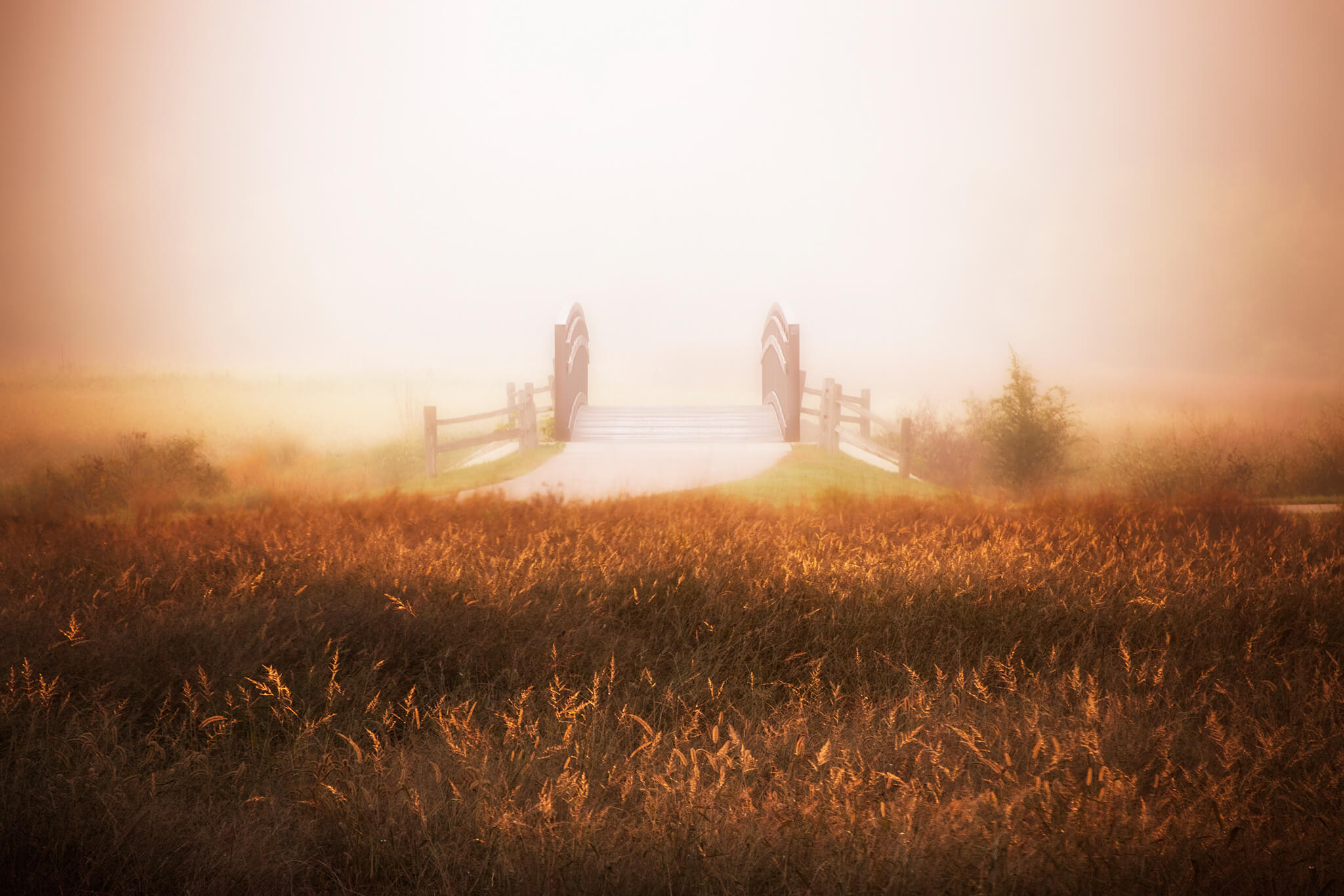 Foggy Bridge Picture