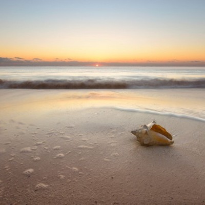 This is (NOT) Another Trite Seashell Seascape Photo