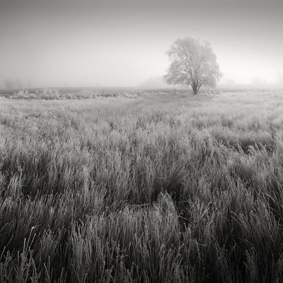 A Large Panoramic Frosted Landscape