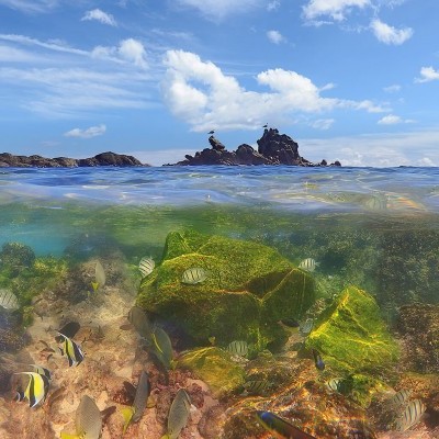 Conquering the Challenge of Underwater Photography