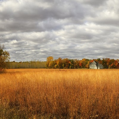 In Awe of Autumn