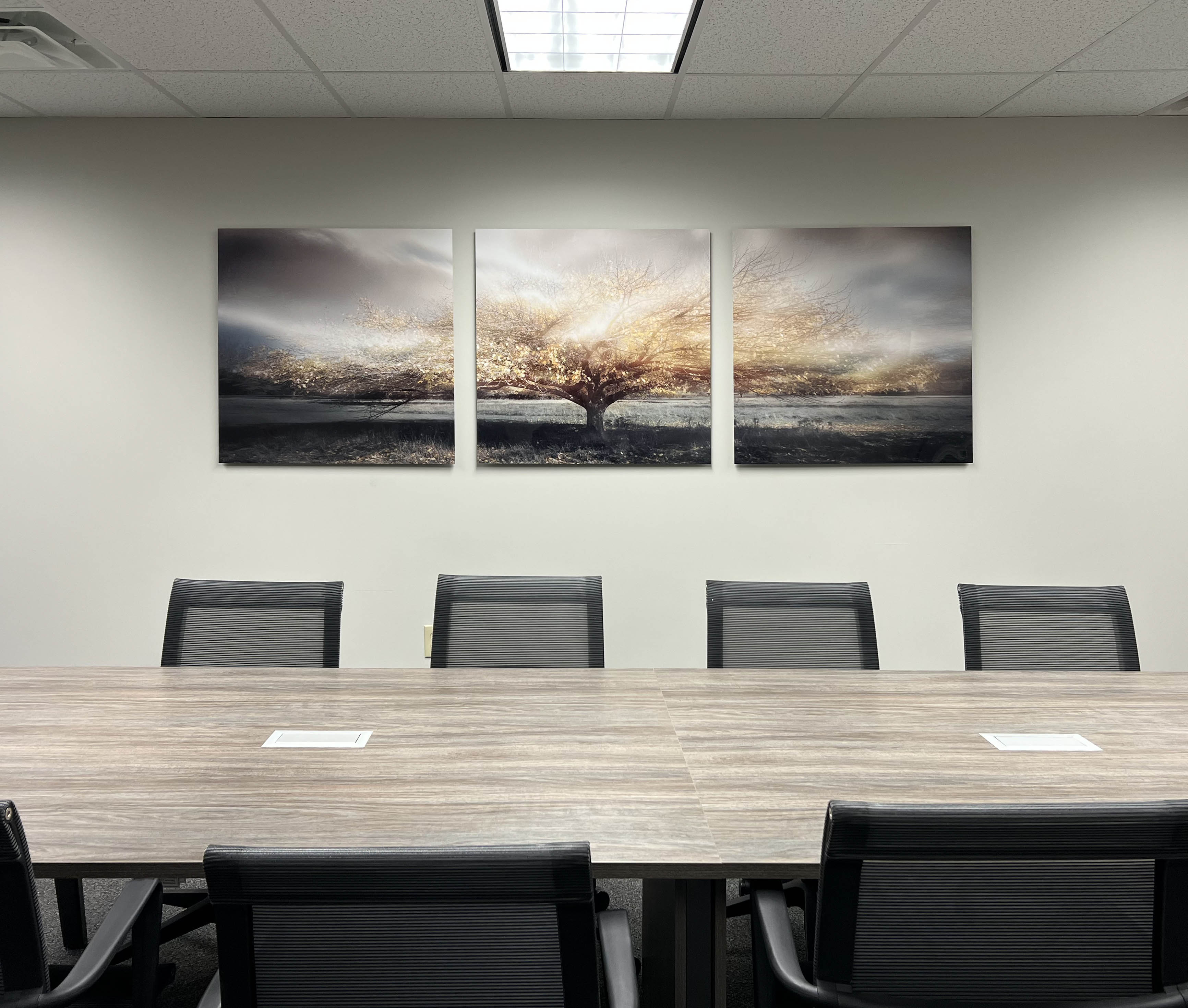 3-Panel Artwork in Conference Room