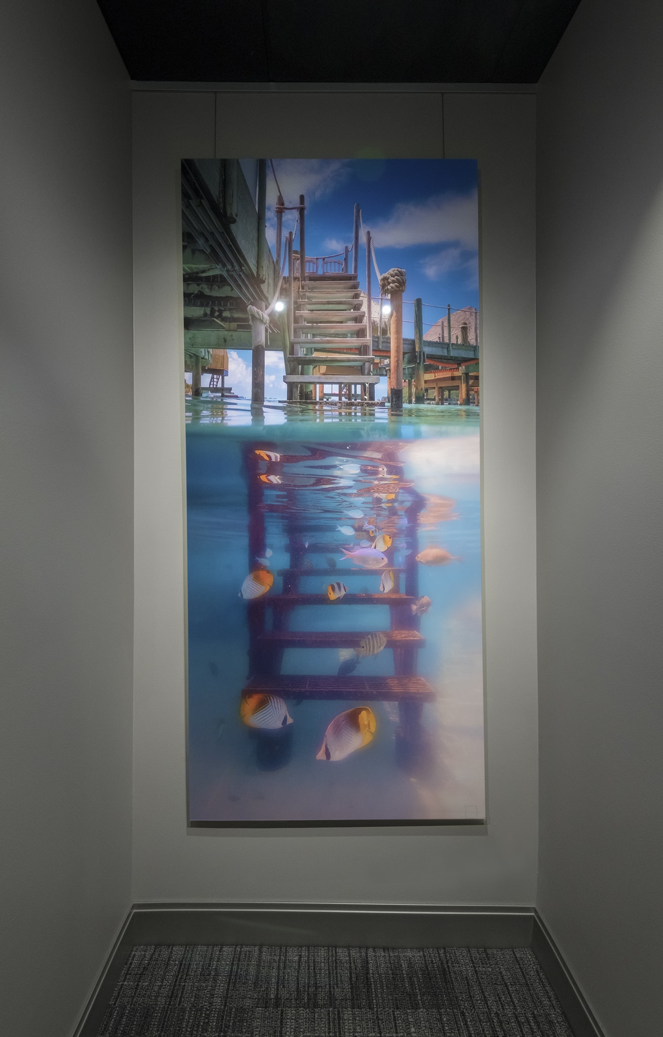 Underwater artwork in hallway