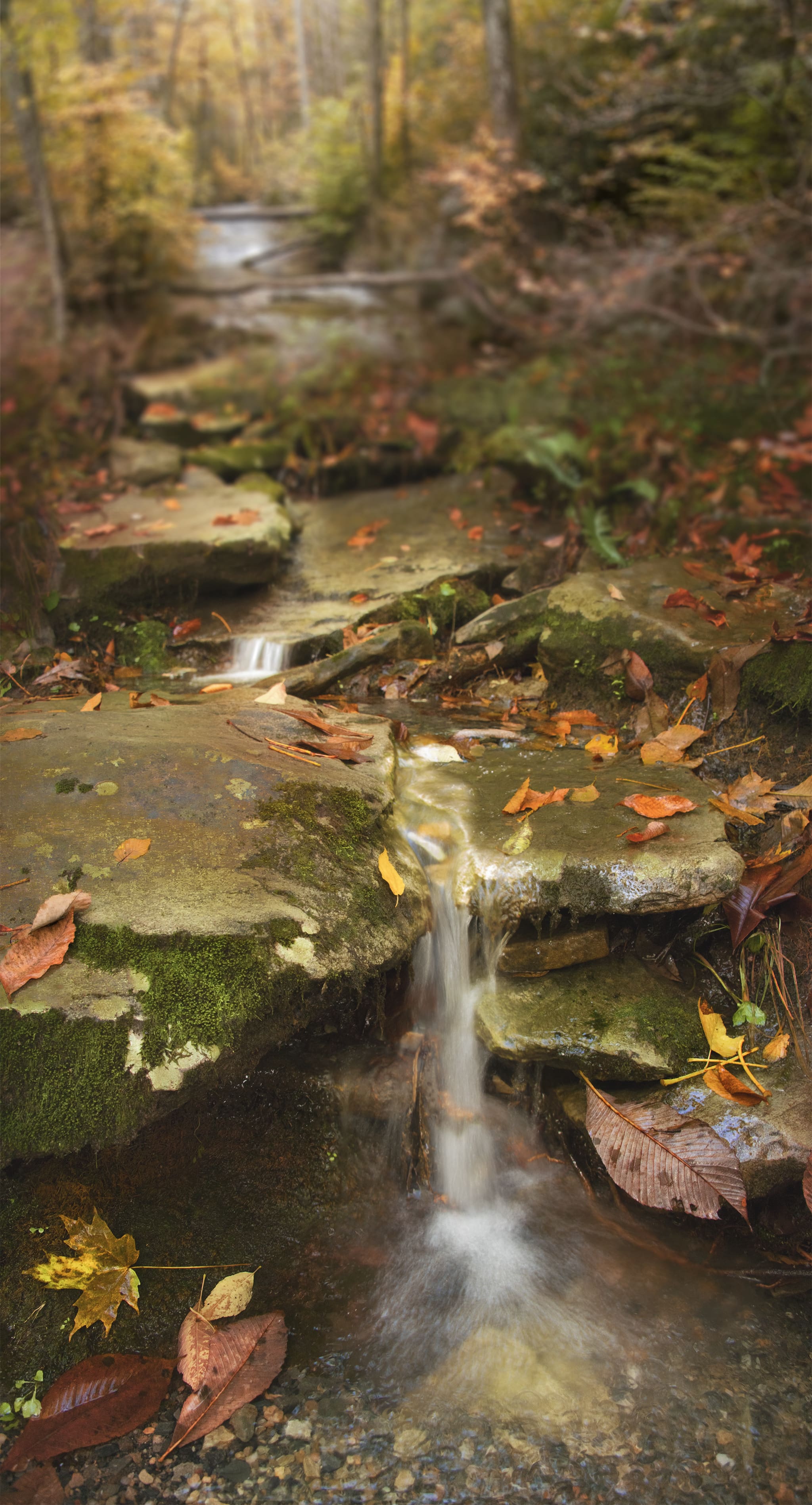 Small Stream in North Carolina in Fall