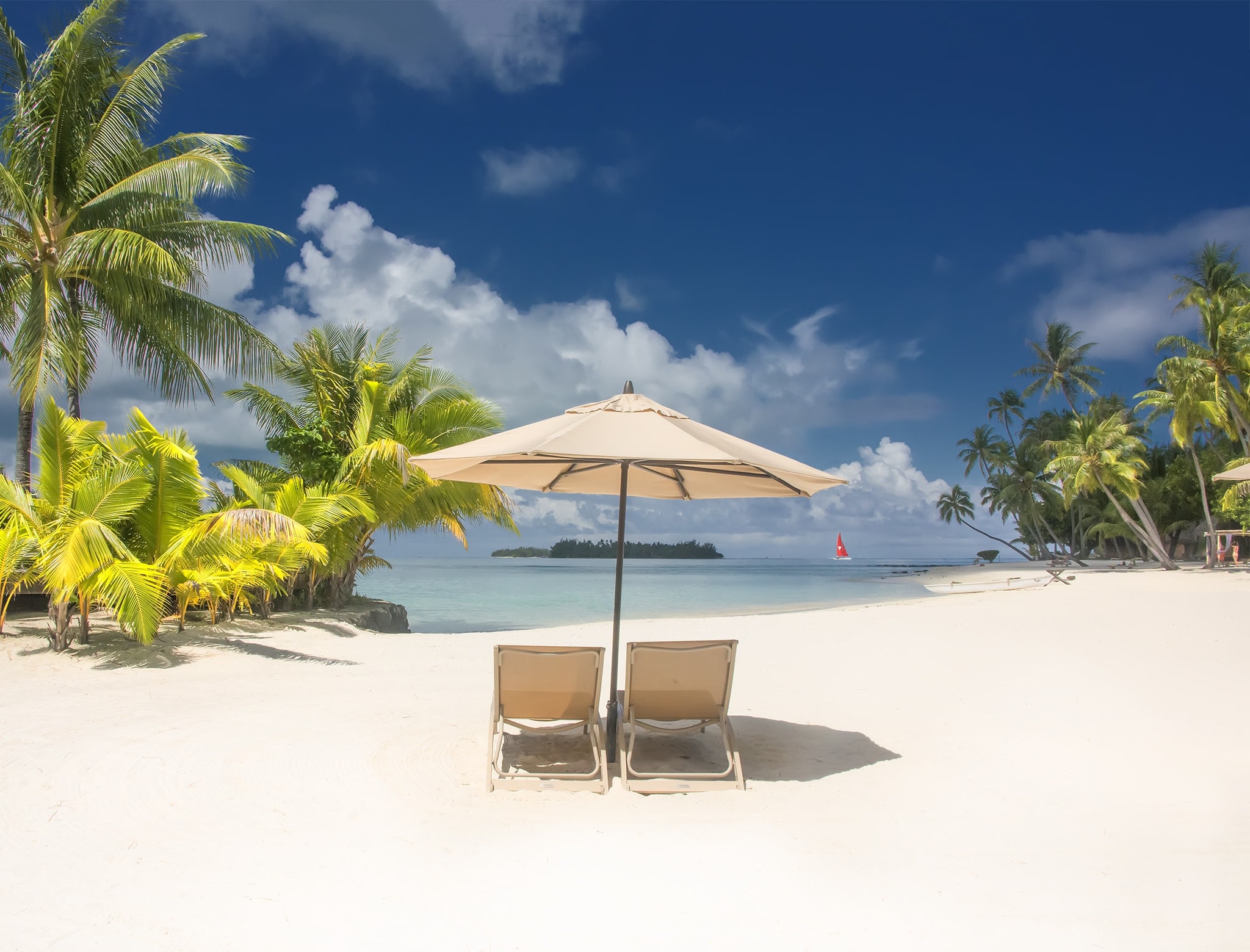 Chairs & Umbrella on Beach Photo