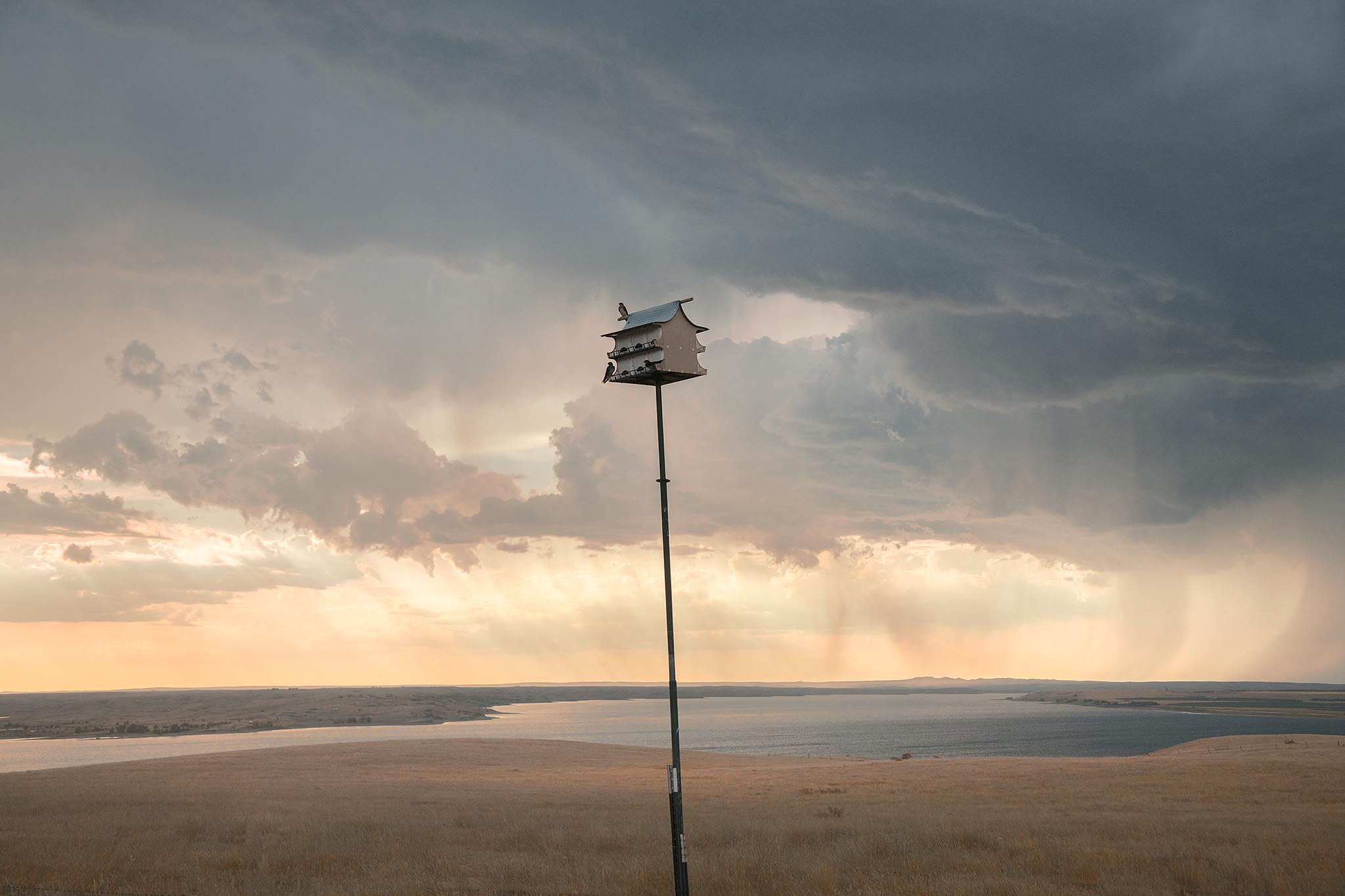 Birdhouse in rainstorm