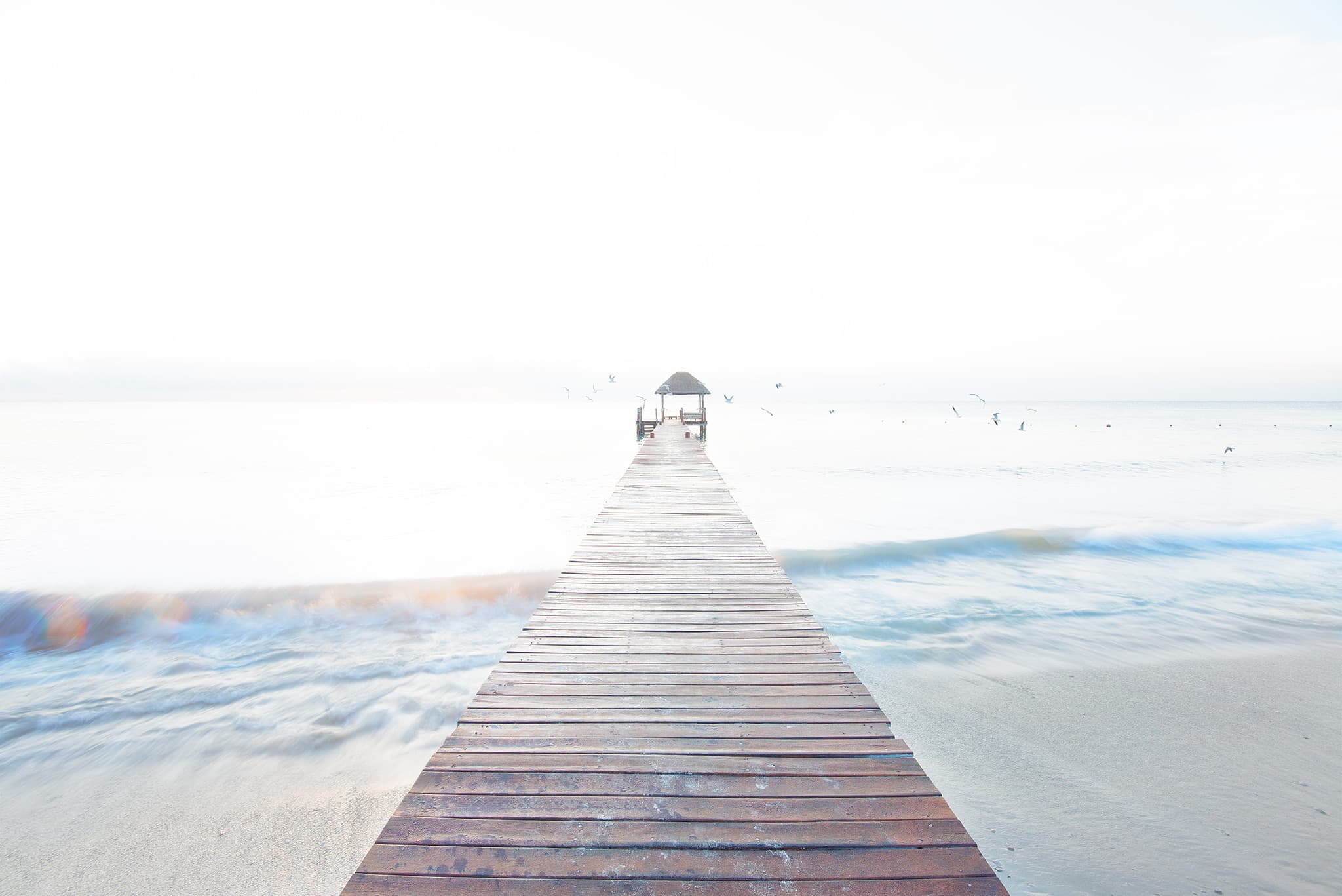 Birds flying over pier in Mexico.