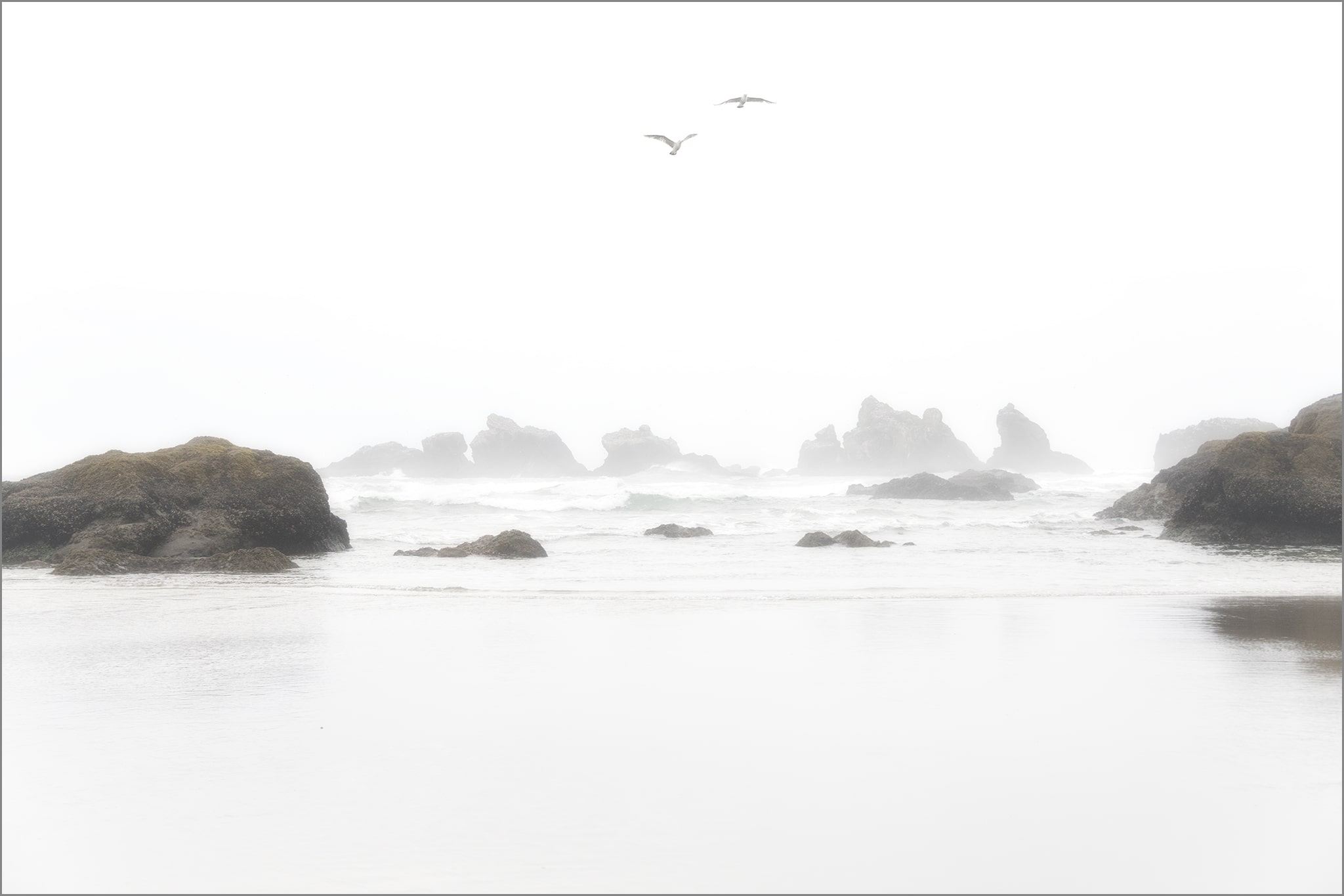 Birds at Bandon Beach