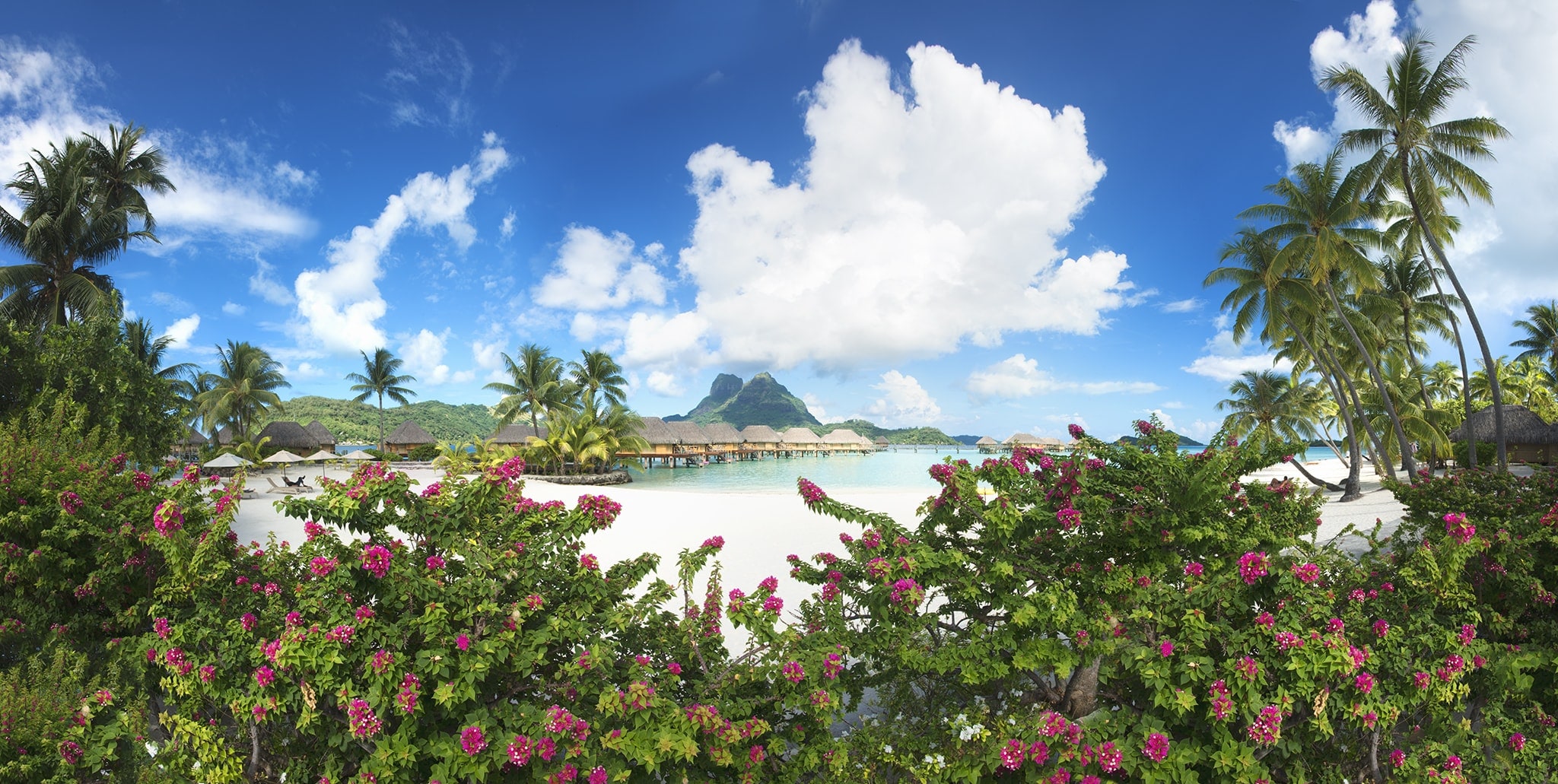 Bora Bora Picture