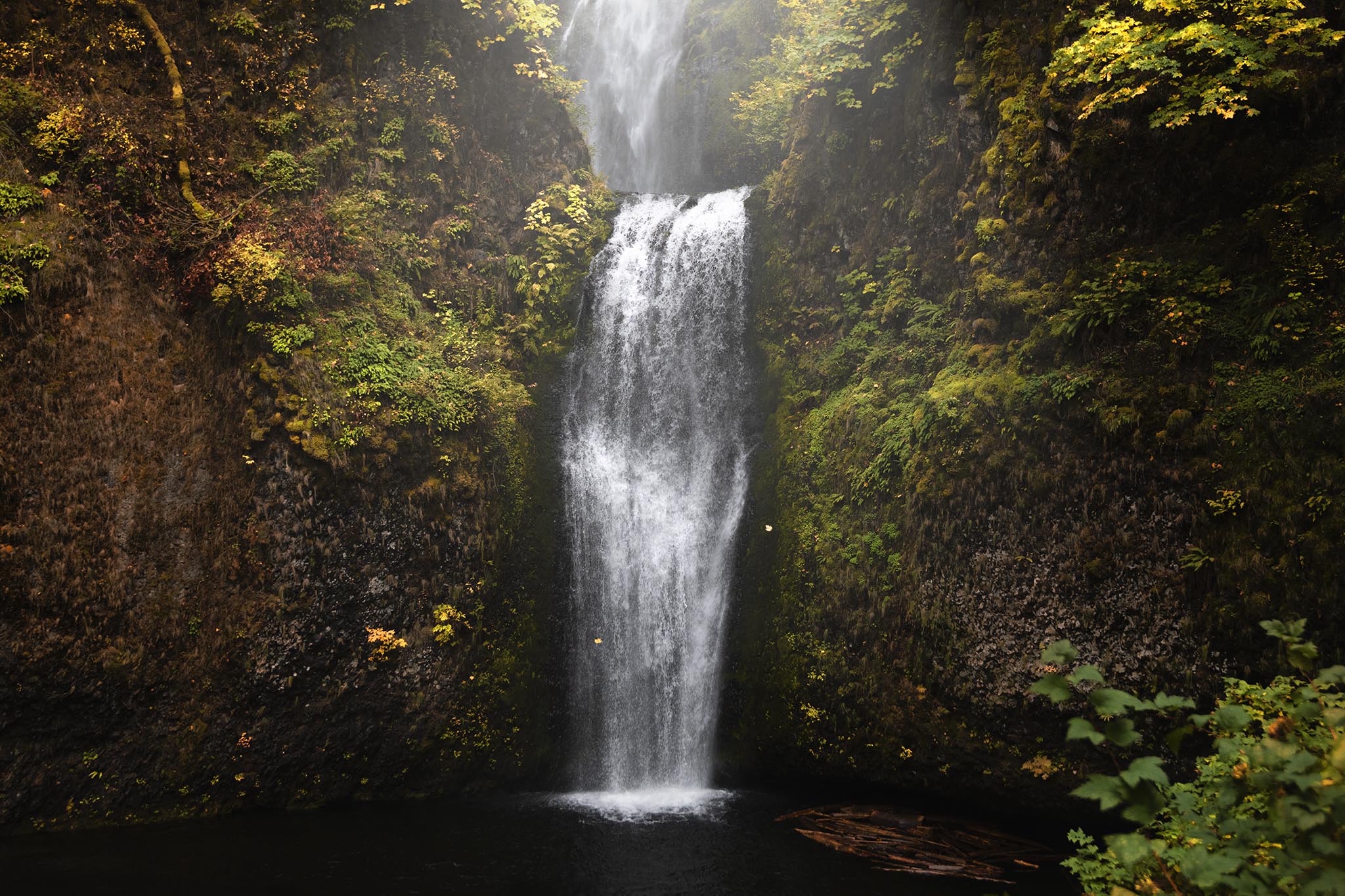 Leaves fall at Multnomah Falls in Portland