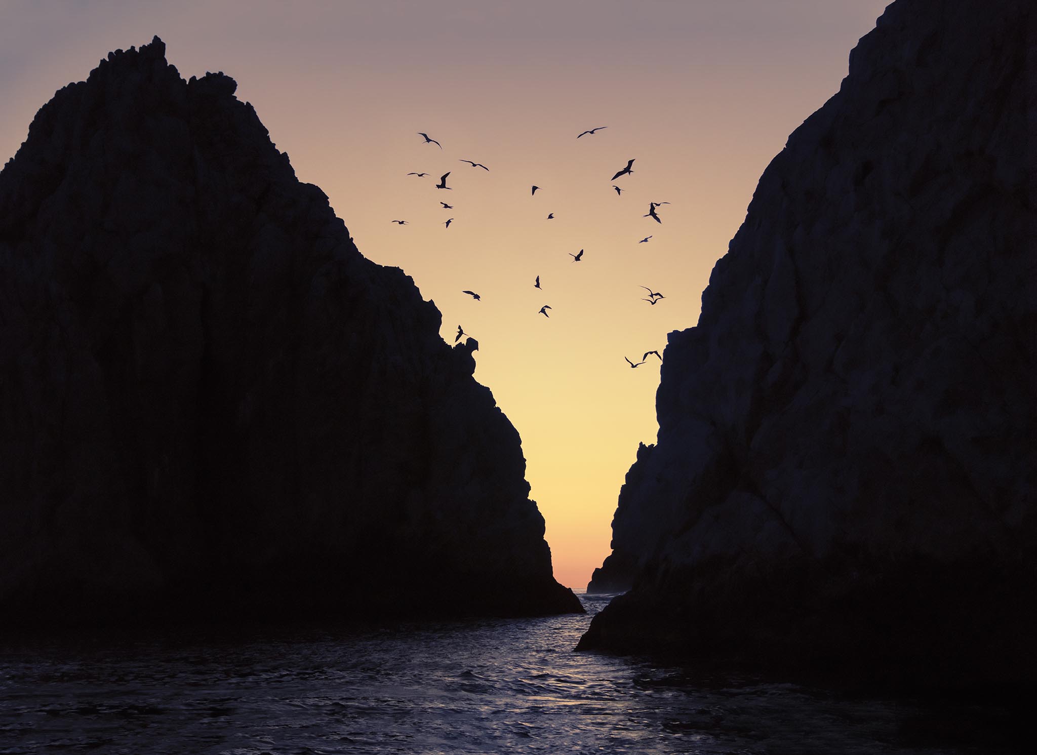 Sunset in Cabo with Birds Flying