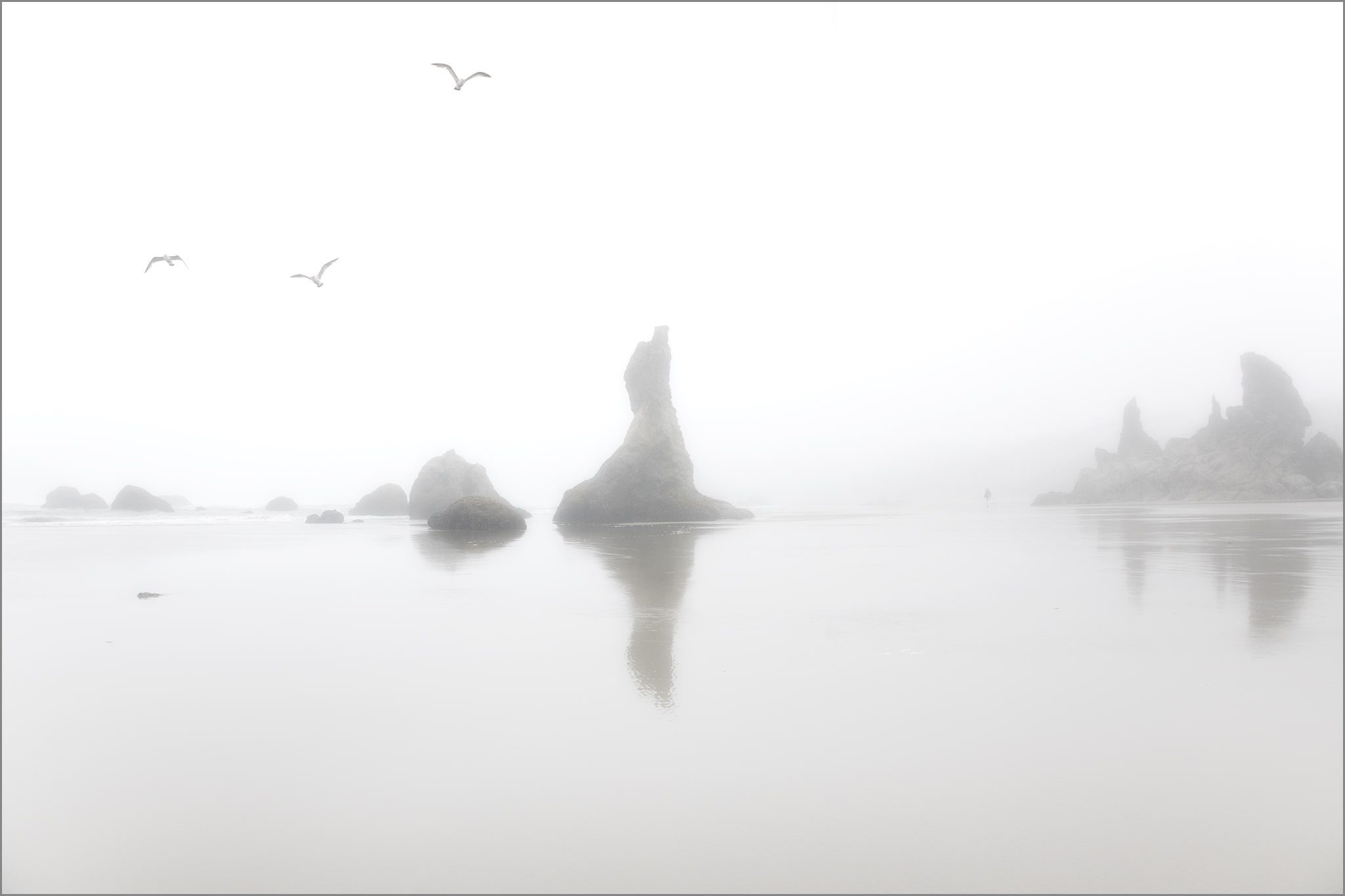 Sea Stacks and Gulls at Bandon Beach