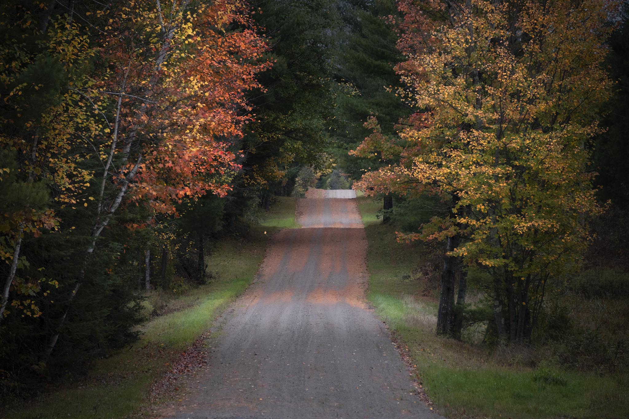 Colorful Fall Trees Along Gravel Road