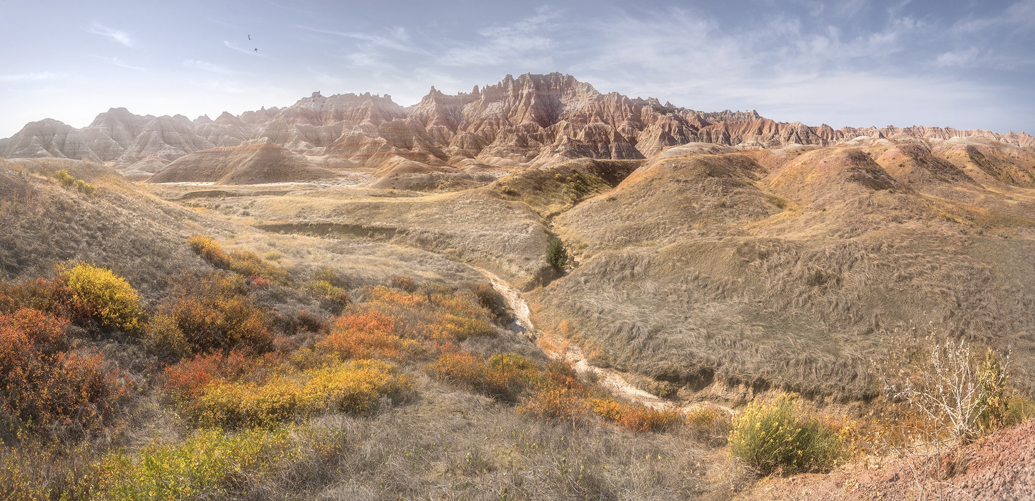 Fall foliage in the Badlands