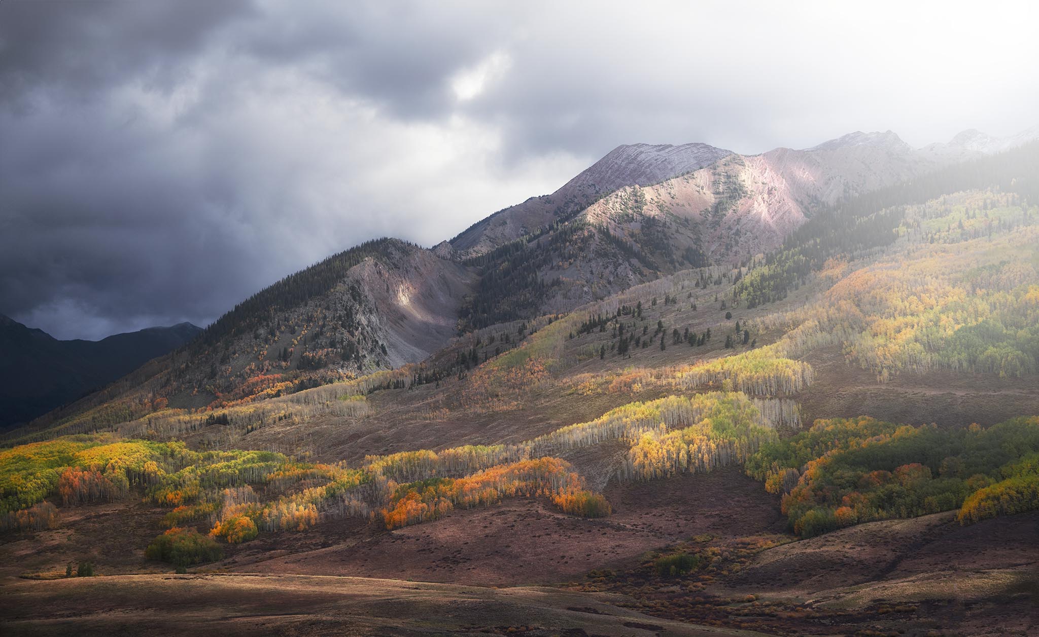 Colorful Aspen Trees at Crested Butte