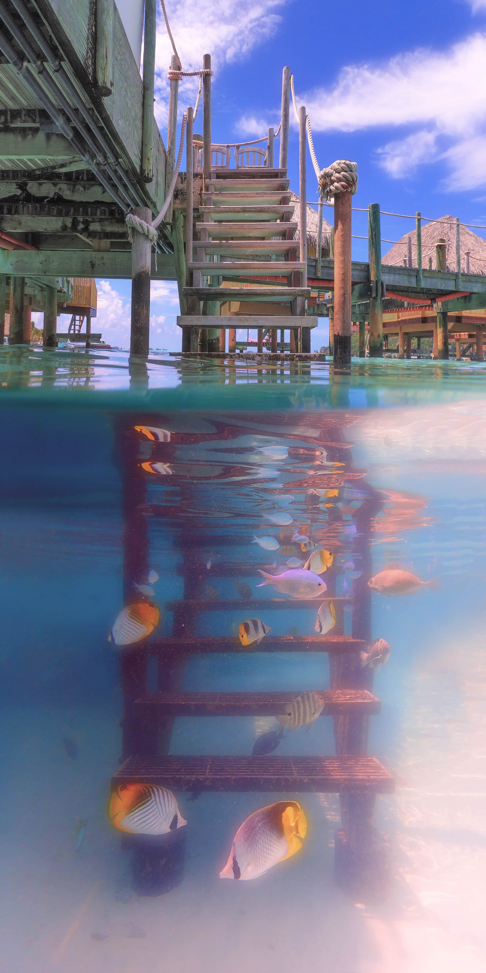 Underwater Fish by Stairs