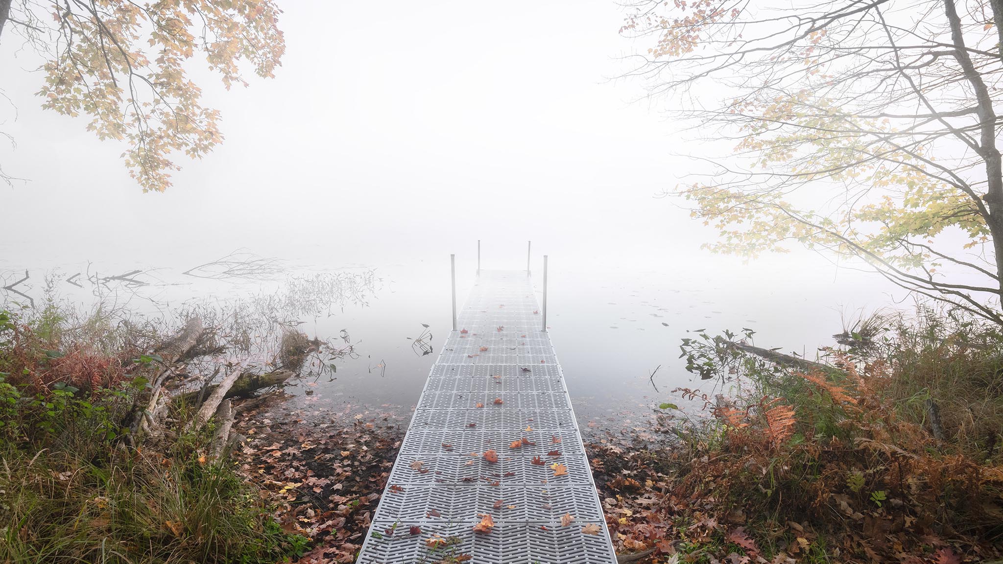Dock on a Foggy Fall Day