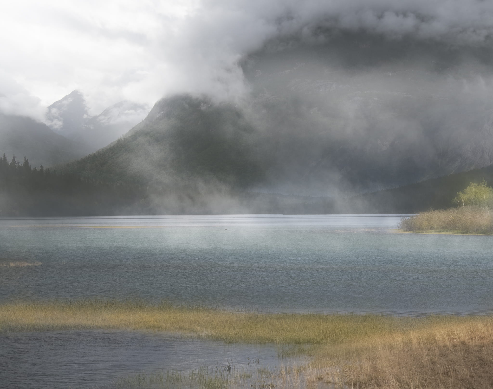Misty Alaskan Landacape