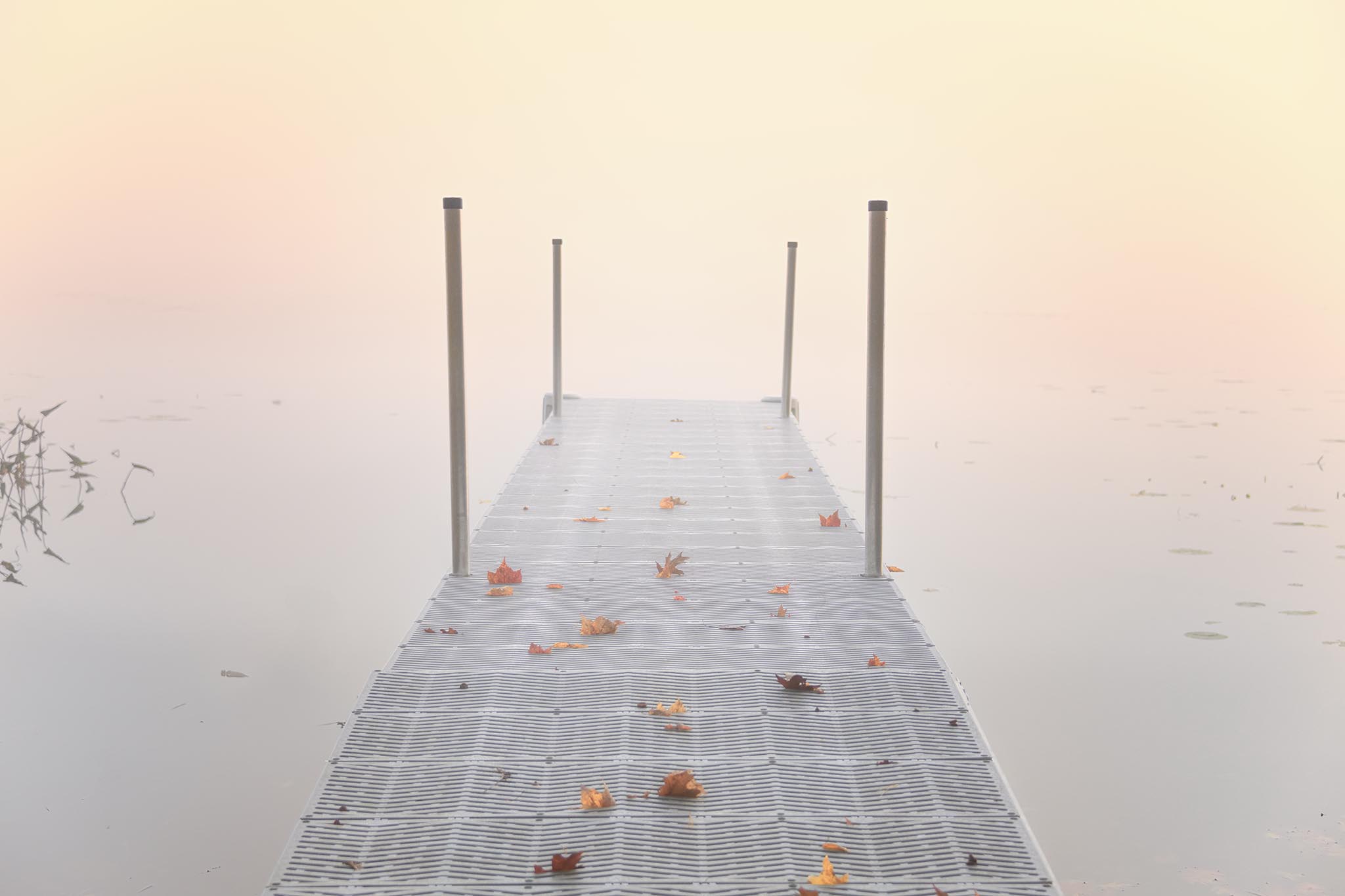 Warm sunlight foggy dock picture