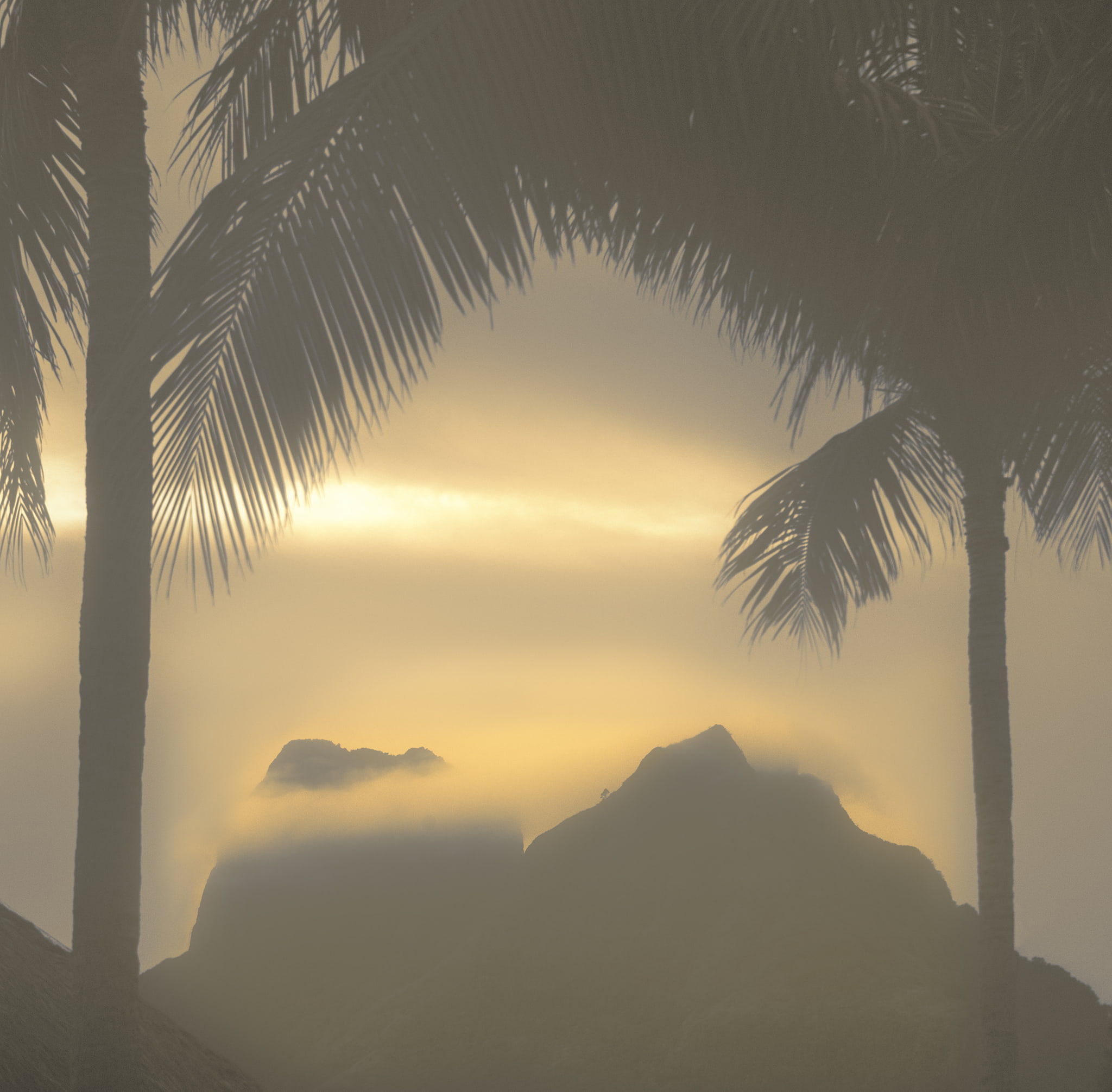 Misty Morning near Mt. Otemanu