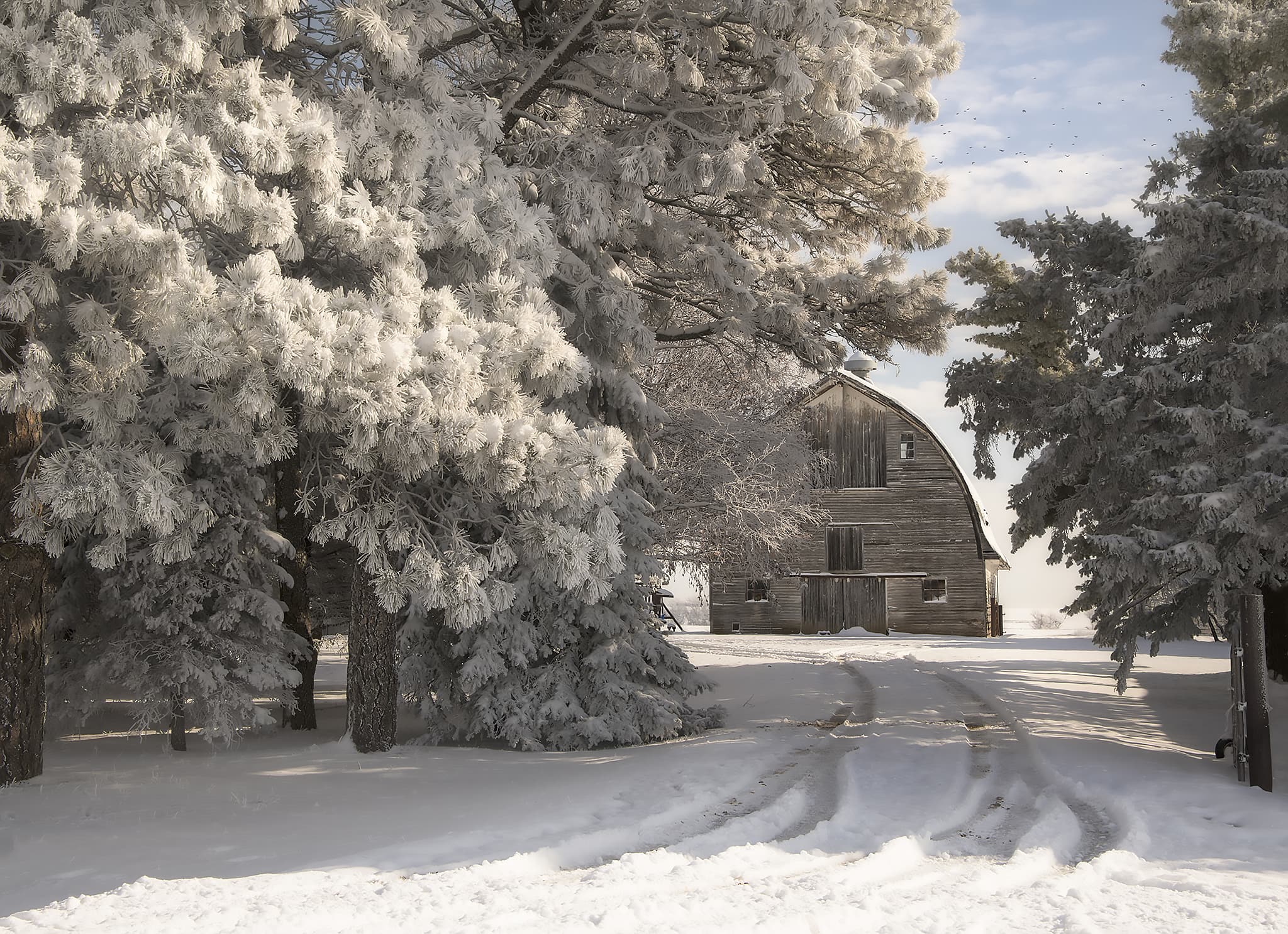 Barn in Frosty Winter
