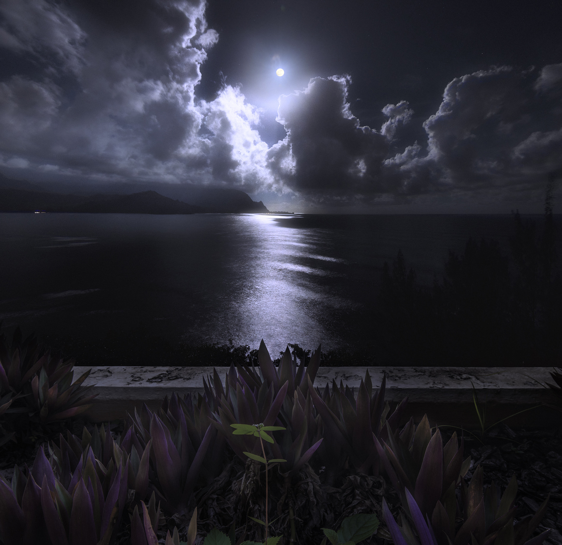 Moonlight in Hawaii Kauai