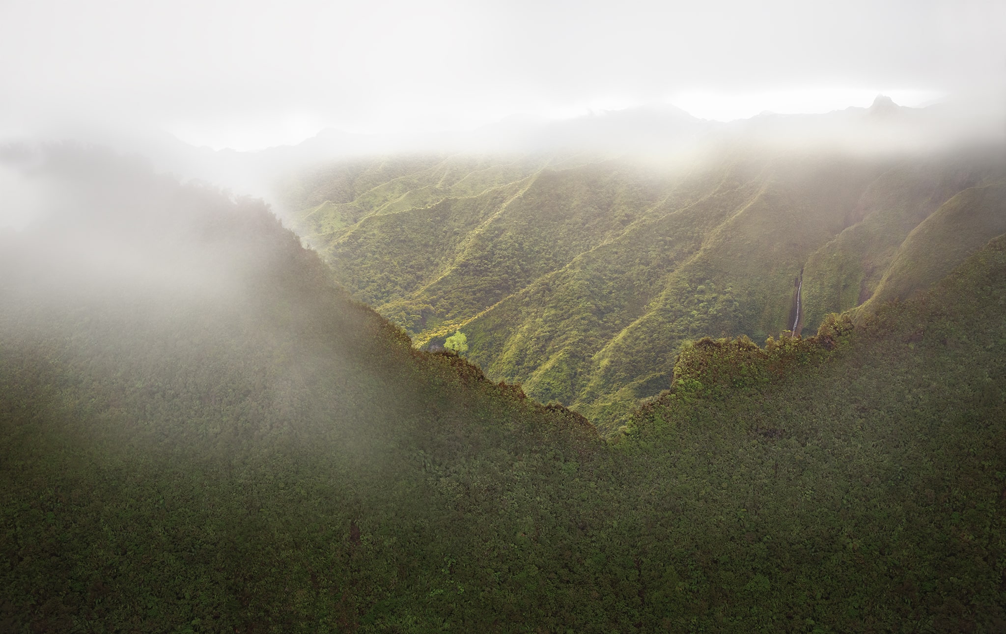 Tree and Waterfall on Cliffs in Kauai