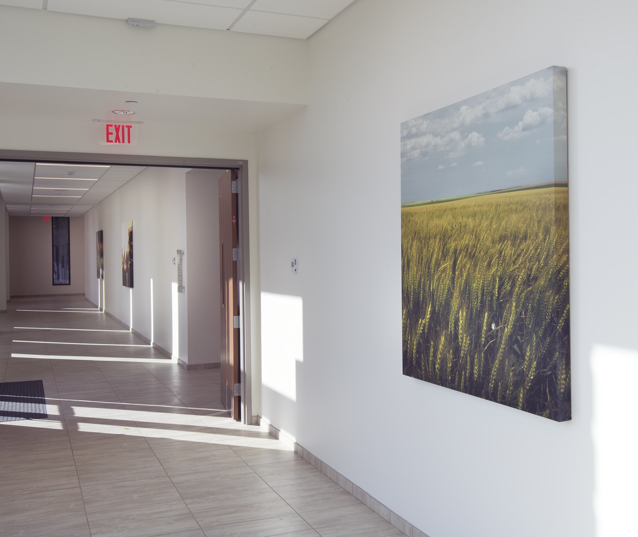 Hospital Hallway with Art