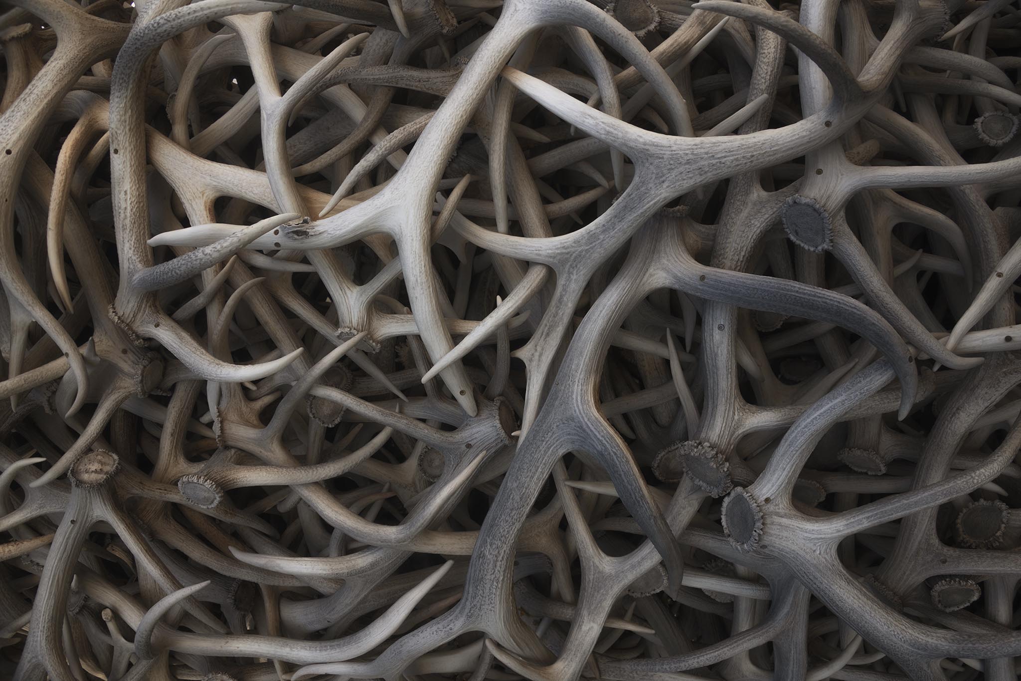 Antler Arch in Jackson Hole - Close Up Picture