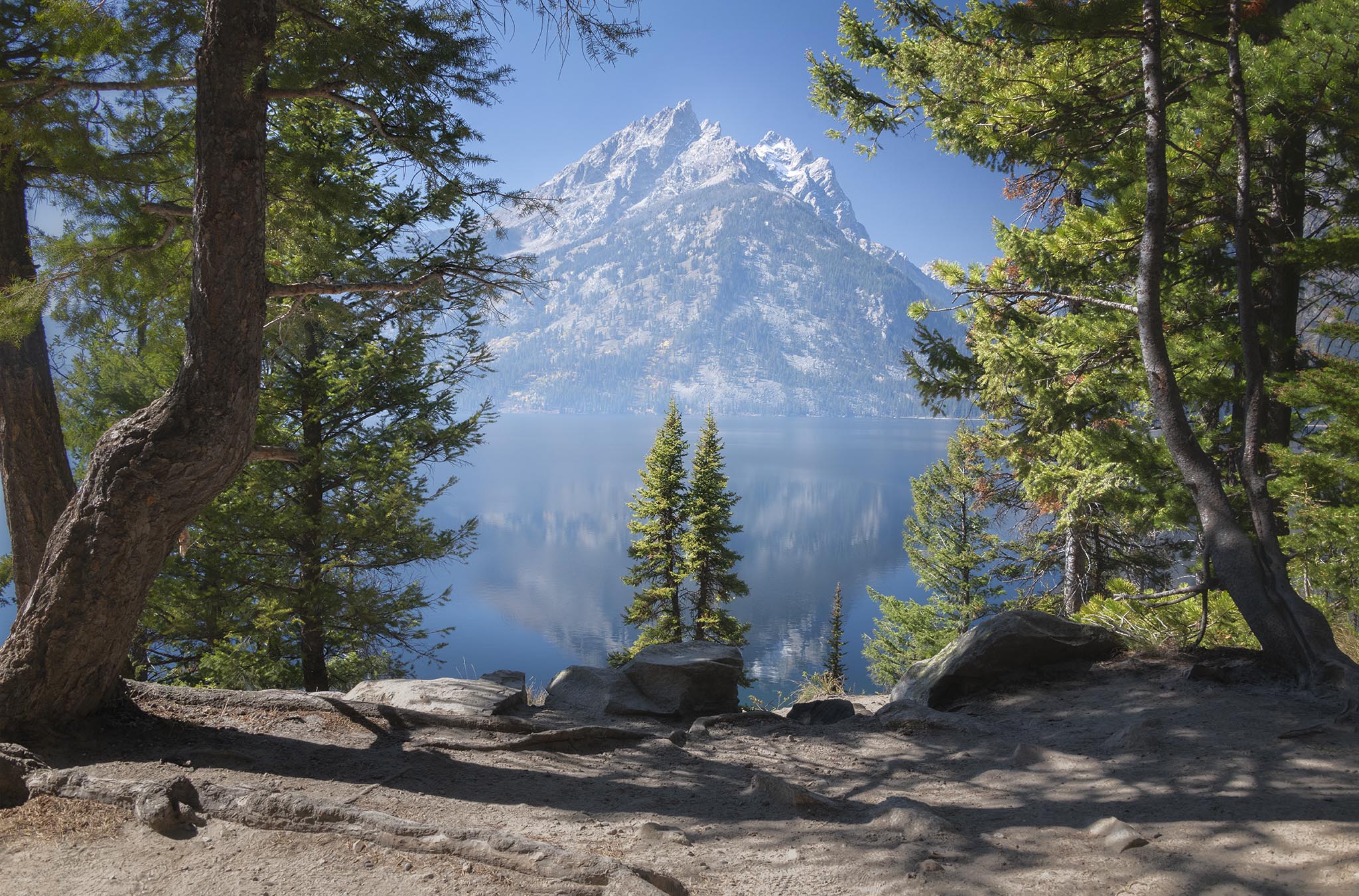 Double Trees at Grand Teton National Park