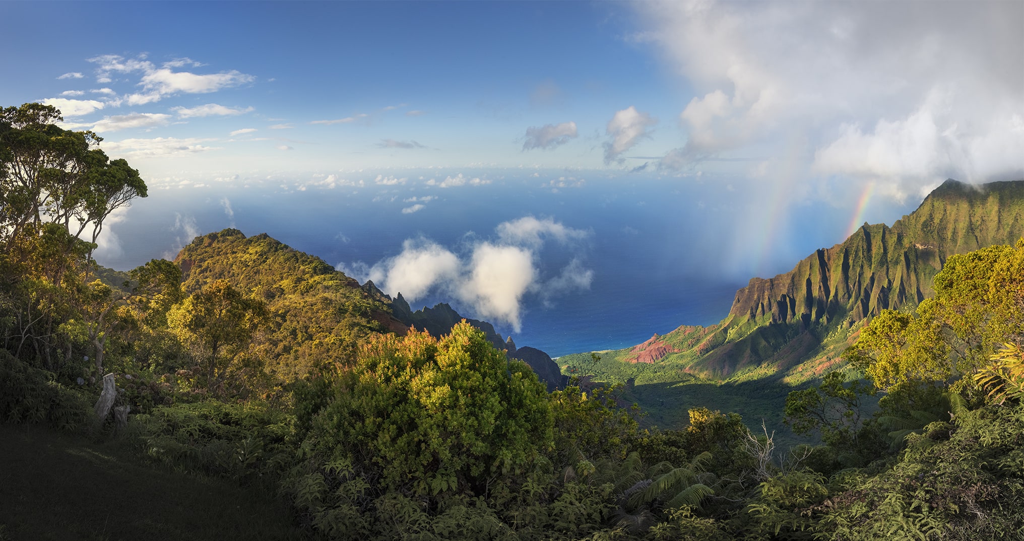 Wide Picture of Kalalau Lookout