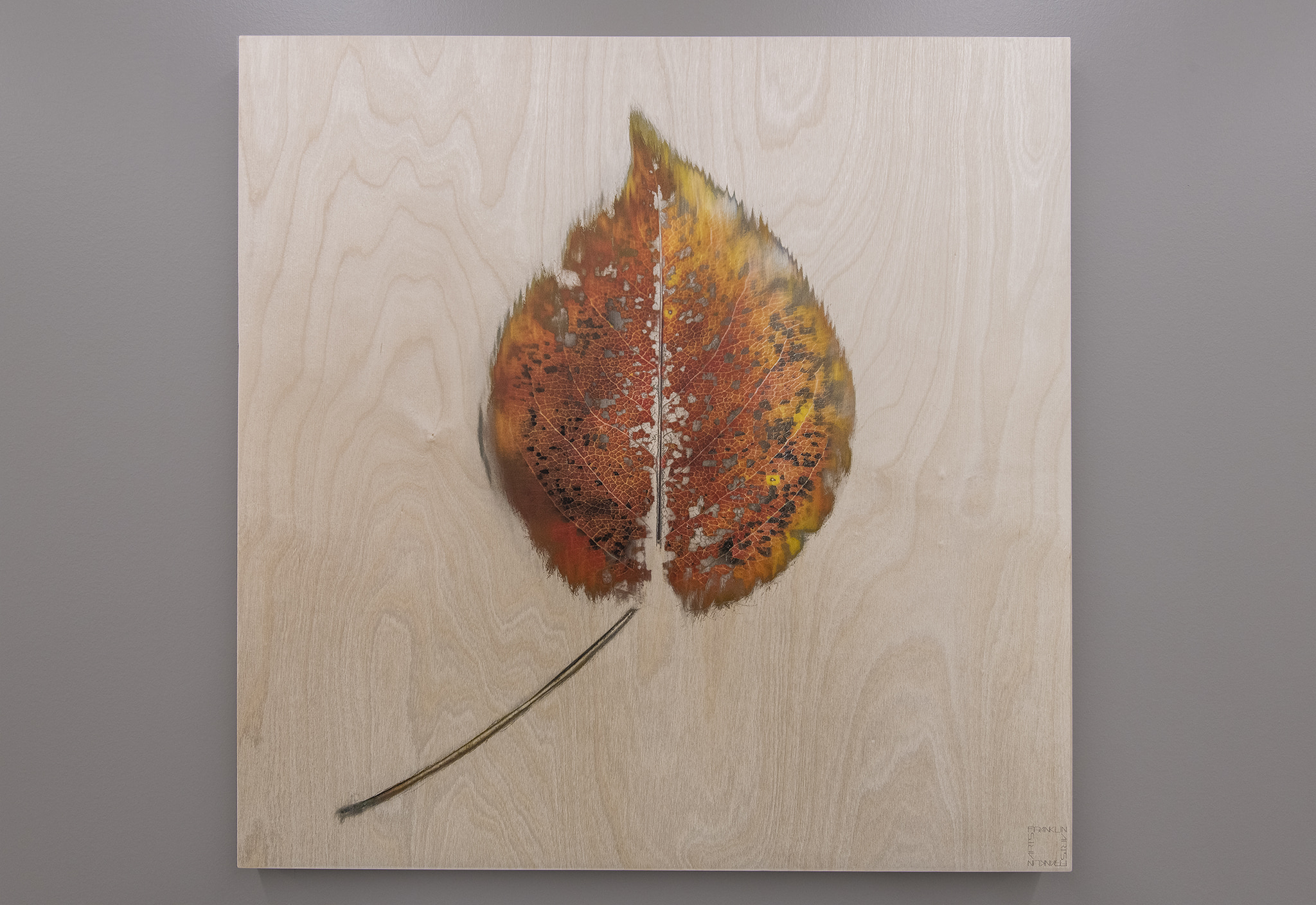 Wood Maple Print of Leaf
