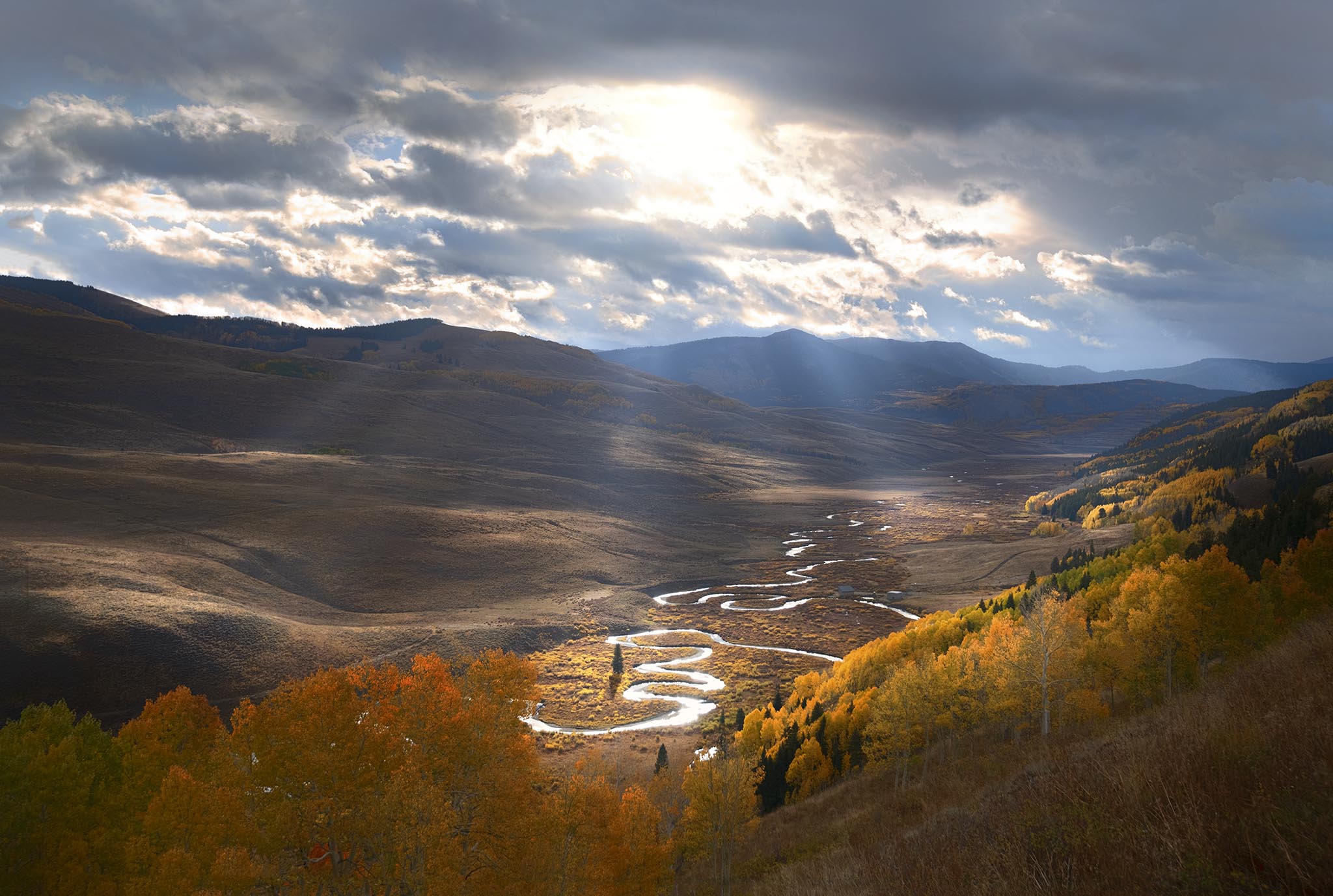 Tree in Valley at Crested Butte