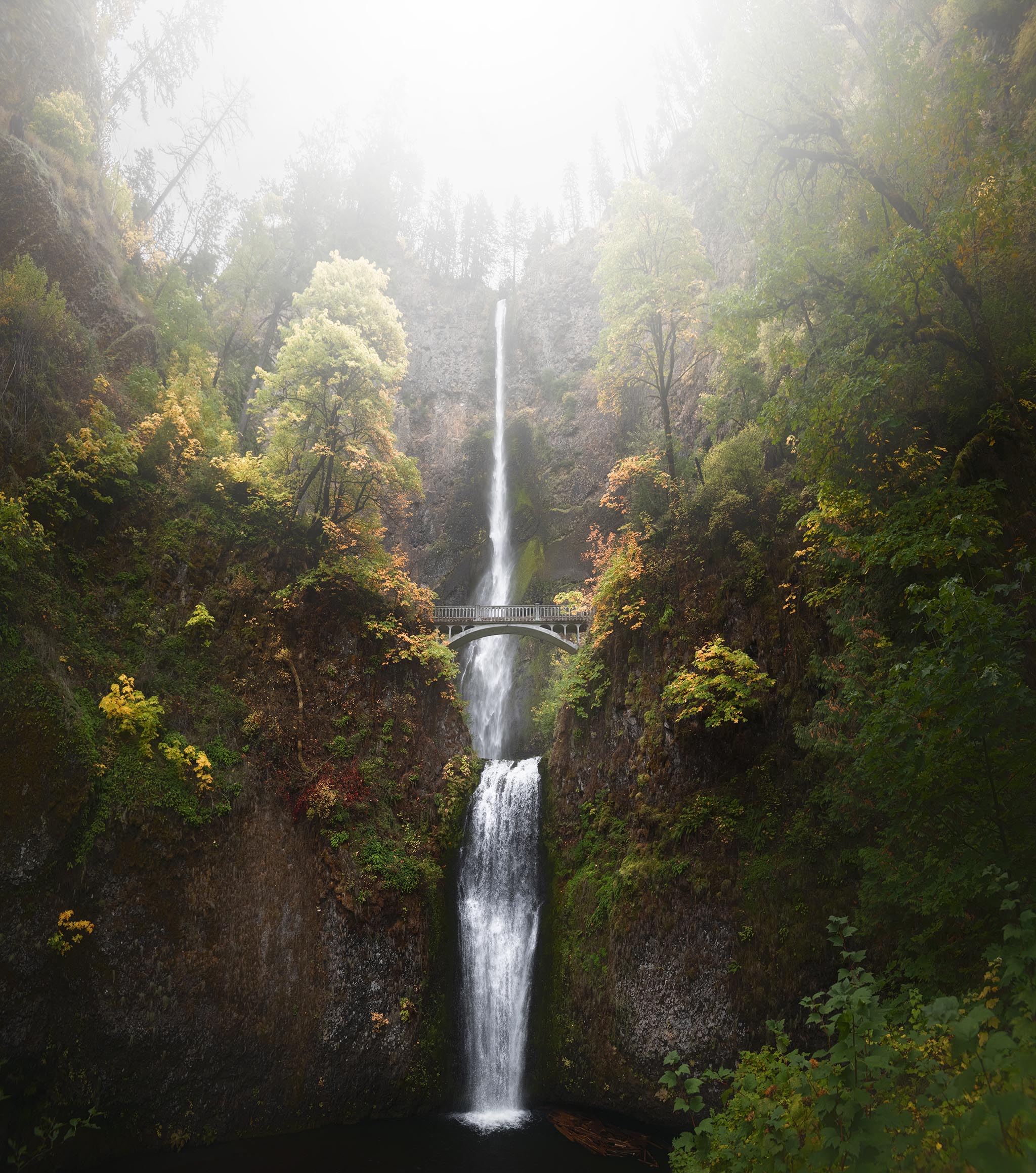 Full vertical picture of Multnomah Falls in Fall
