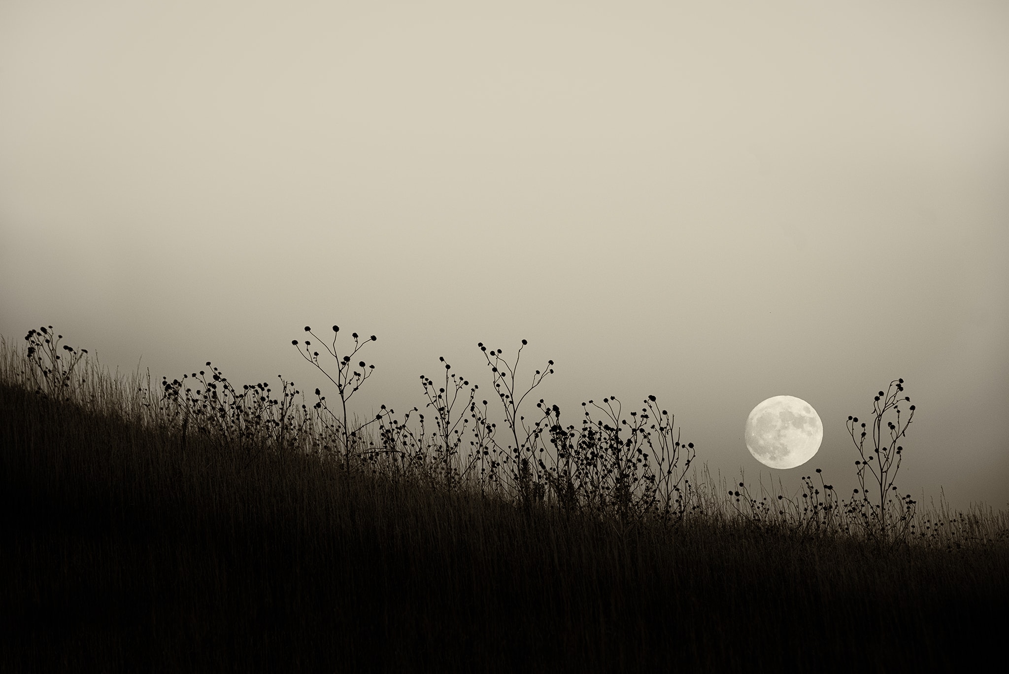 Black and White Photo of Moon