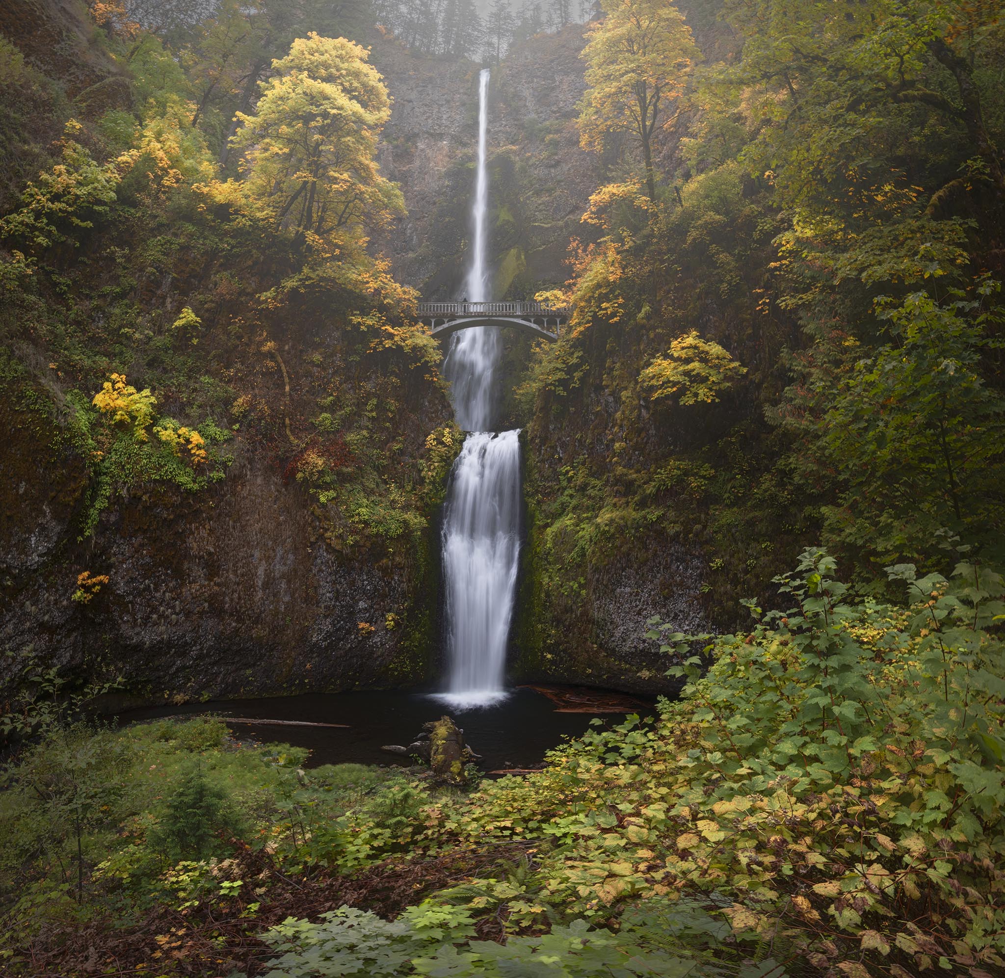 Multnomah Falls in Oregon
