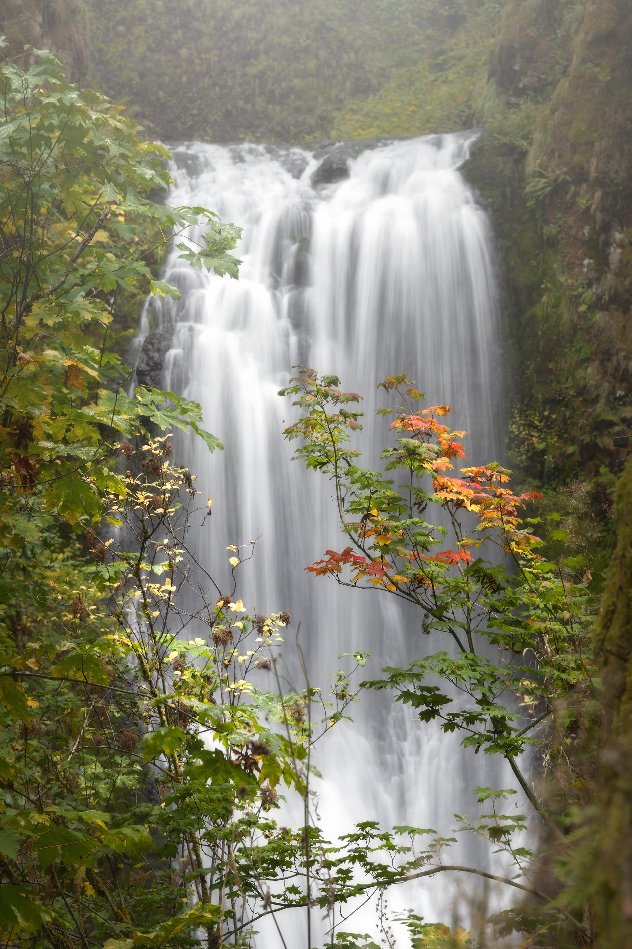 Multnomah Falls and Colorful Leaves